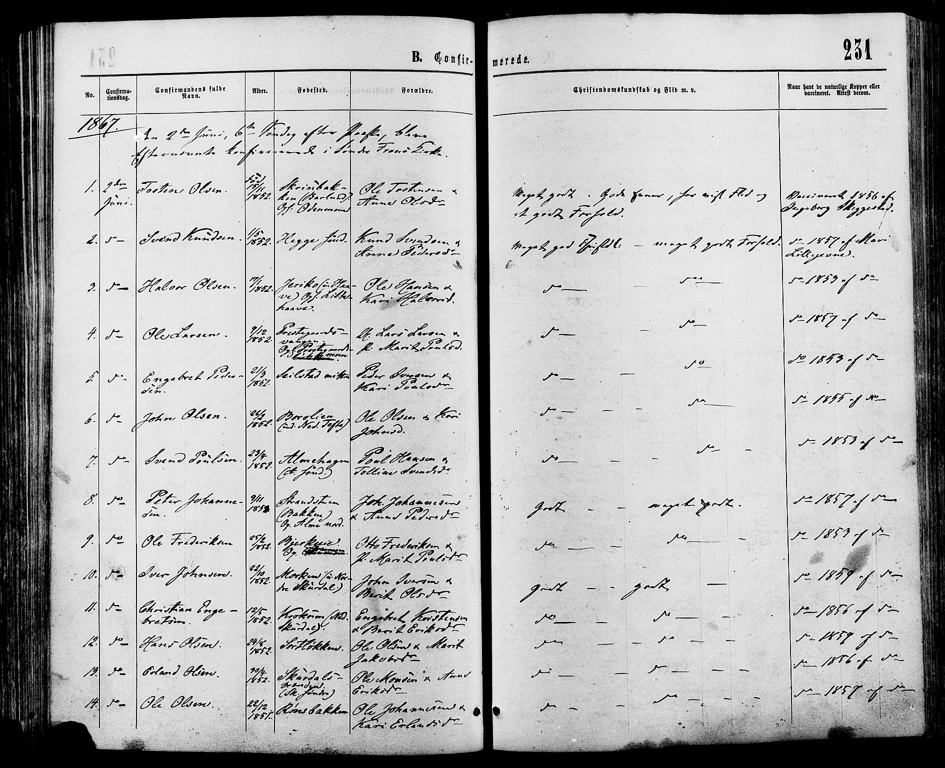 Sør-Fron prestekontor, SAH/PREST-010/H/Ha/Haa/L0002: Parish register (official) no. 2, 1864-1880, p. 231