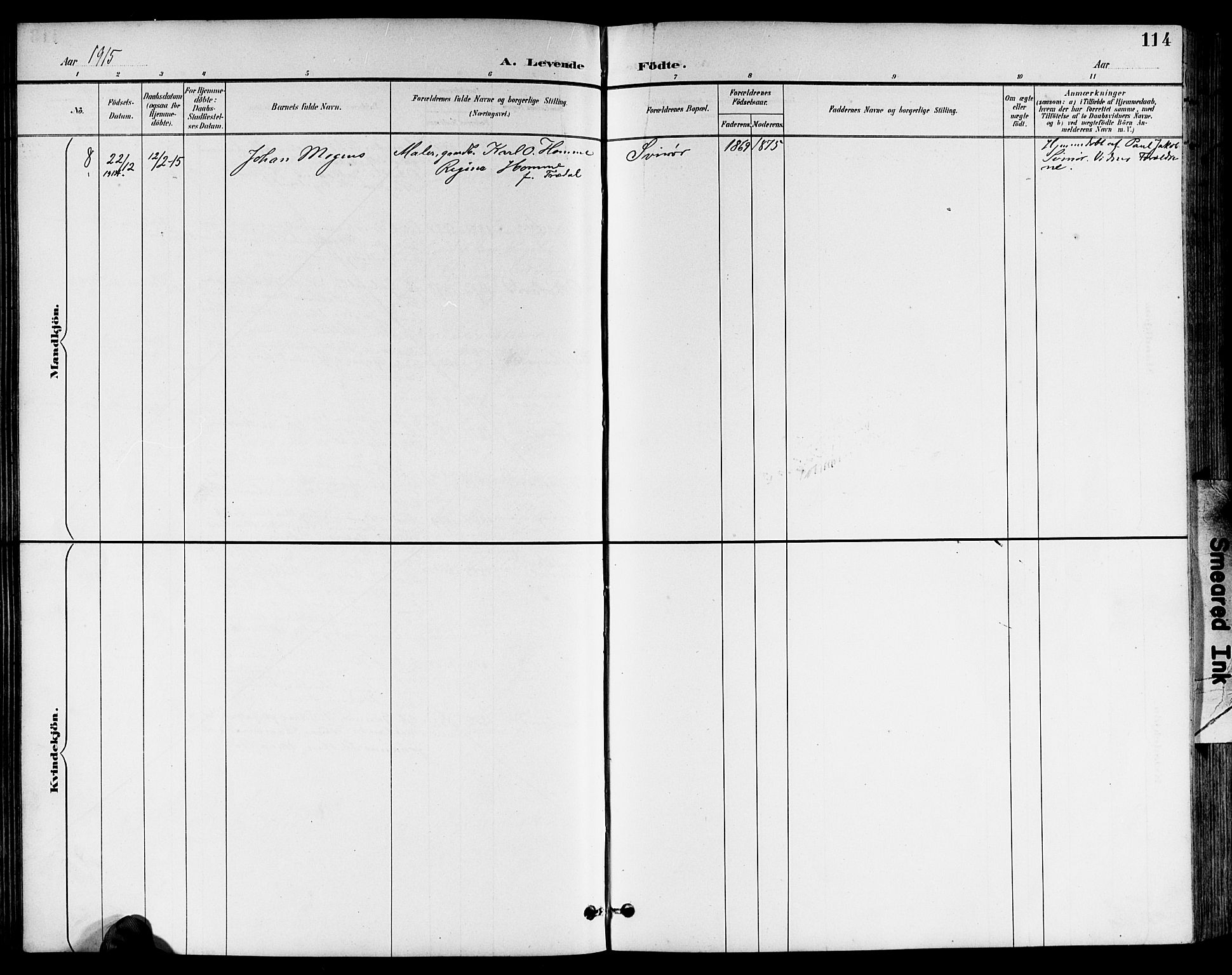 Sør-Audnedal sokneprestkontor, AV/SAK-1111-0039/F/Fb/Fbb/L0006: Parish register (copy) no. B 6, 1893-1915, p. 114