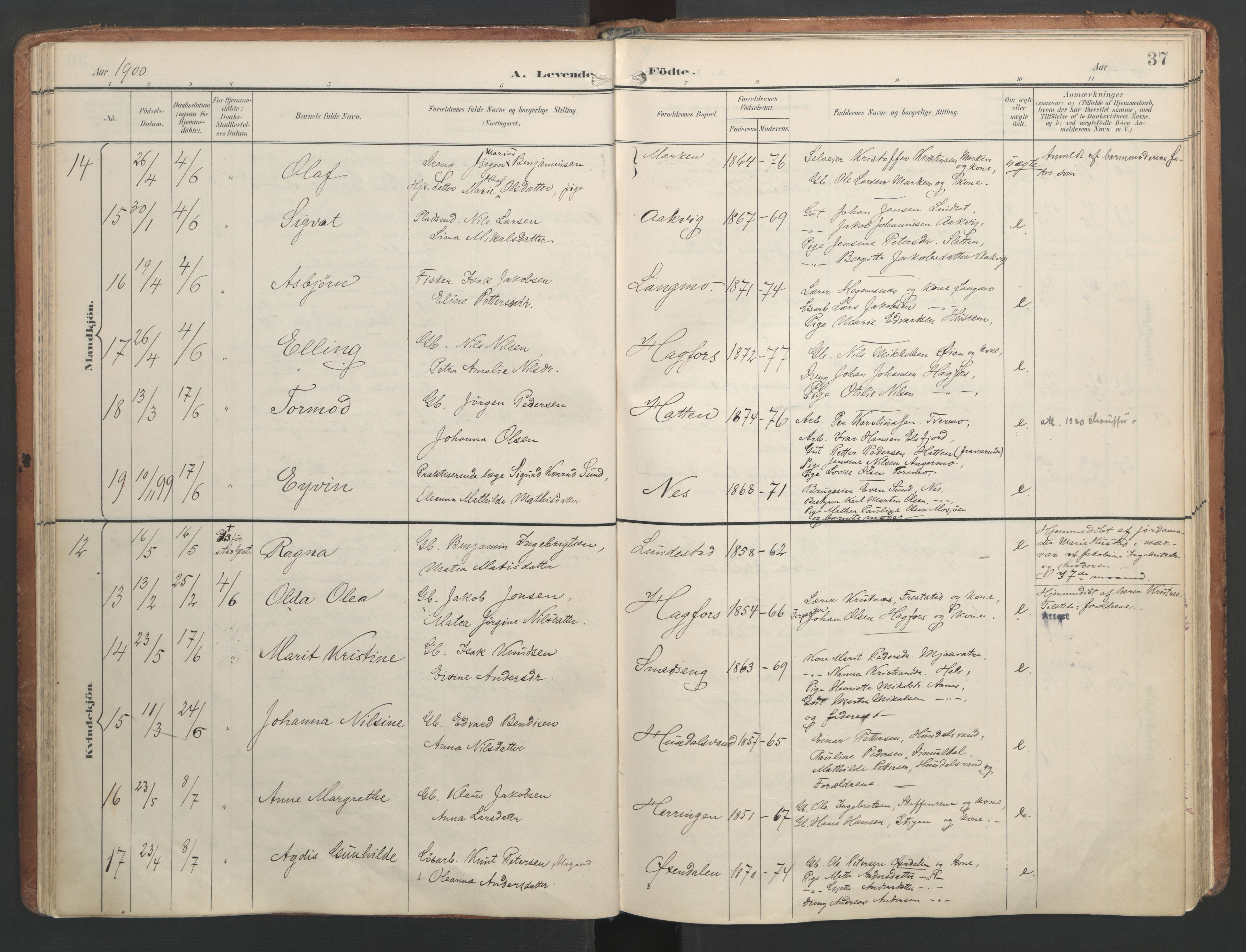 Ministerialprotokoller, klokkerbøker og fødselsregistre - Nordland, AV/SAT-A-1459/820/L0297: Parish register (official) no. 820A18, 1897-1917, p. 37