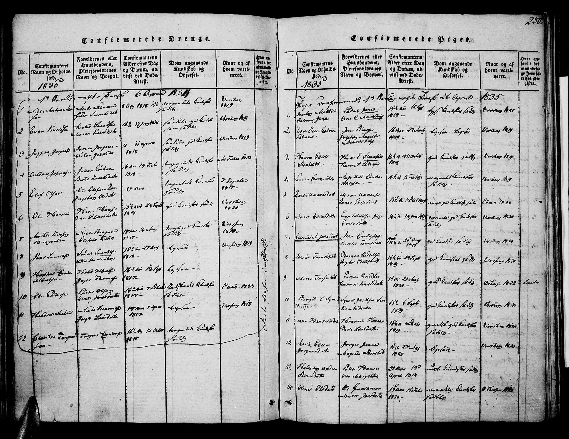 Risør sokneprestkontor, SAK/1111-0035/F/Fa/L0002: Parish register (official) no. A 2, 1815-1839, p. 250