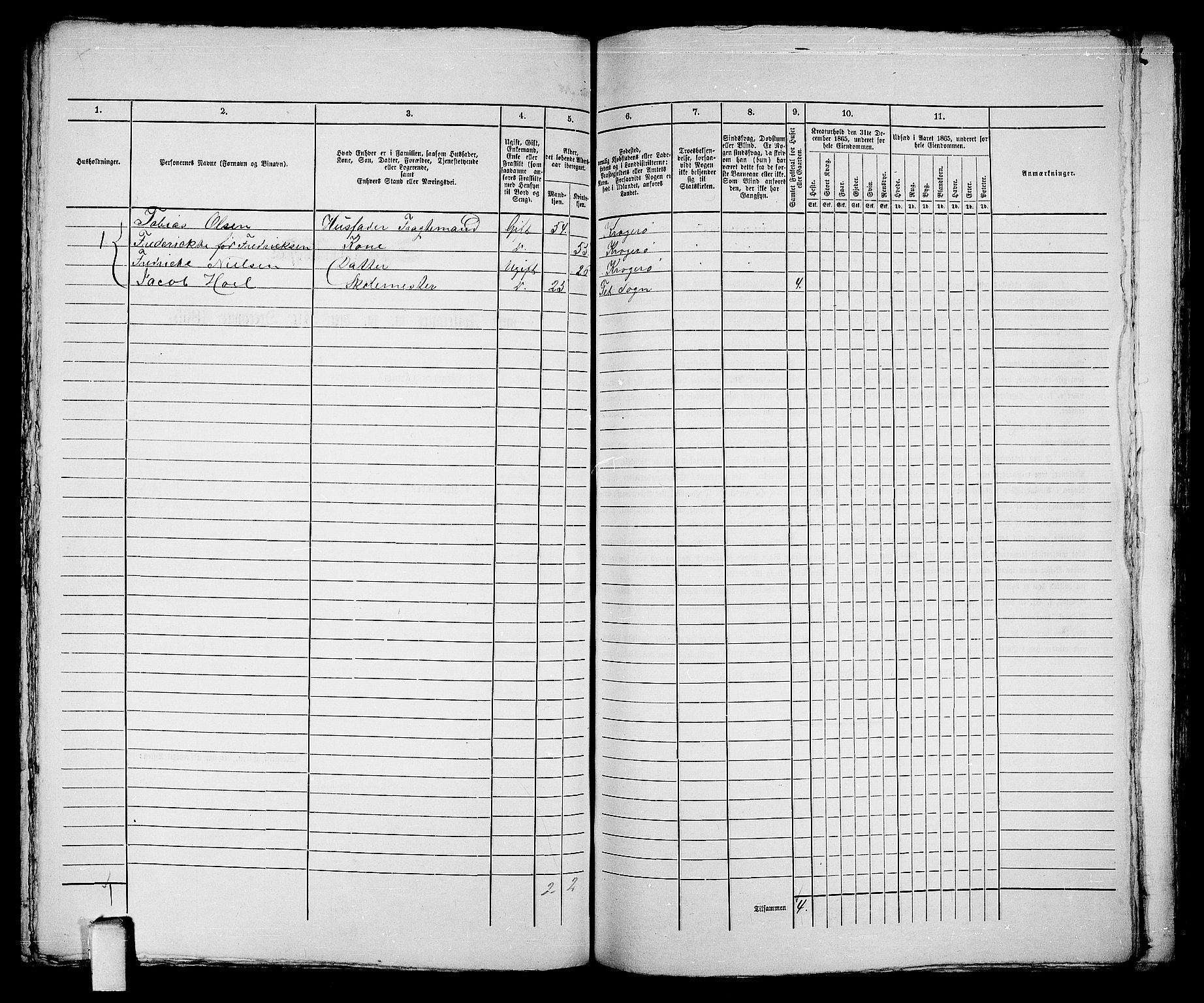 RA, 1865 census for Kragerø/Kragerø, 1865, p. 421