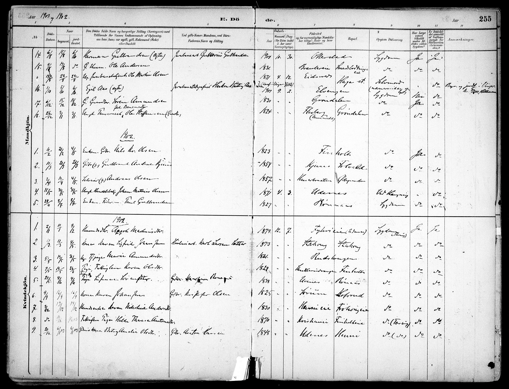 Nes prestekontor Kirkebøker, SAO/A-10410/F/Fc/L0002: Parish register (official) no. IIi 2, 1882-1916, p. 255