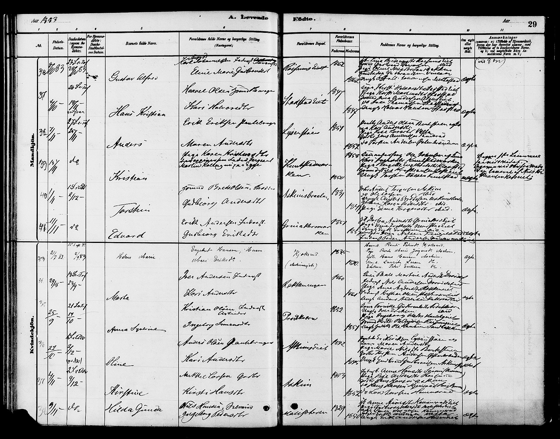 Gran prestekontor, SAH/PREST-112/H/Ha/Haa/L0016: Parish register (official) no. 16, 1880-1888, p. 29