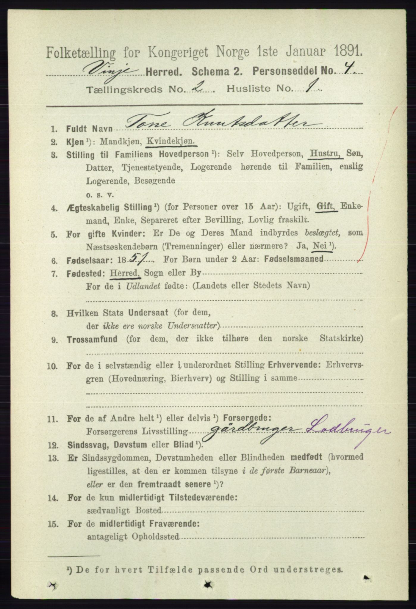 RA, 1891 census for 0834 Vinje, 1891, p. 359