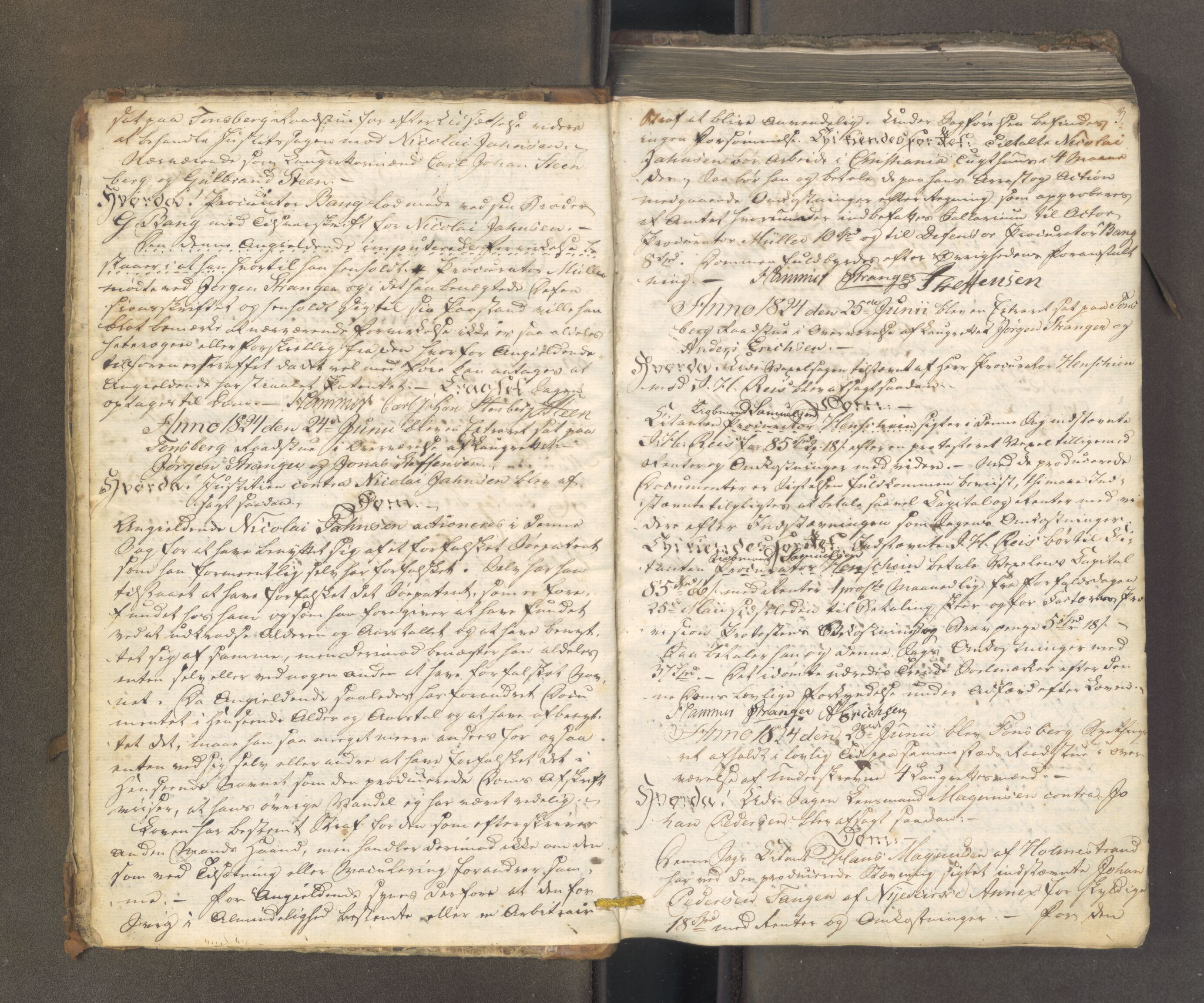 Tønsberg byfogd, AV/SAKO-A-224/F/Fa/L0024: Tingbok, 1824-1836, p. 2-3