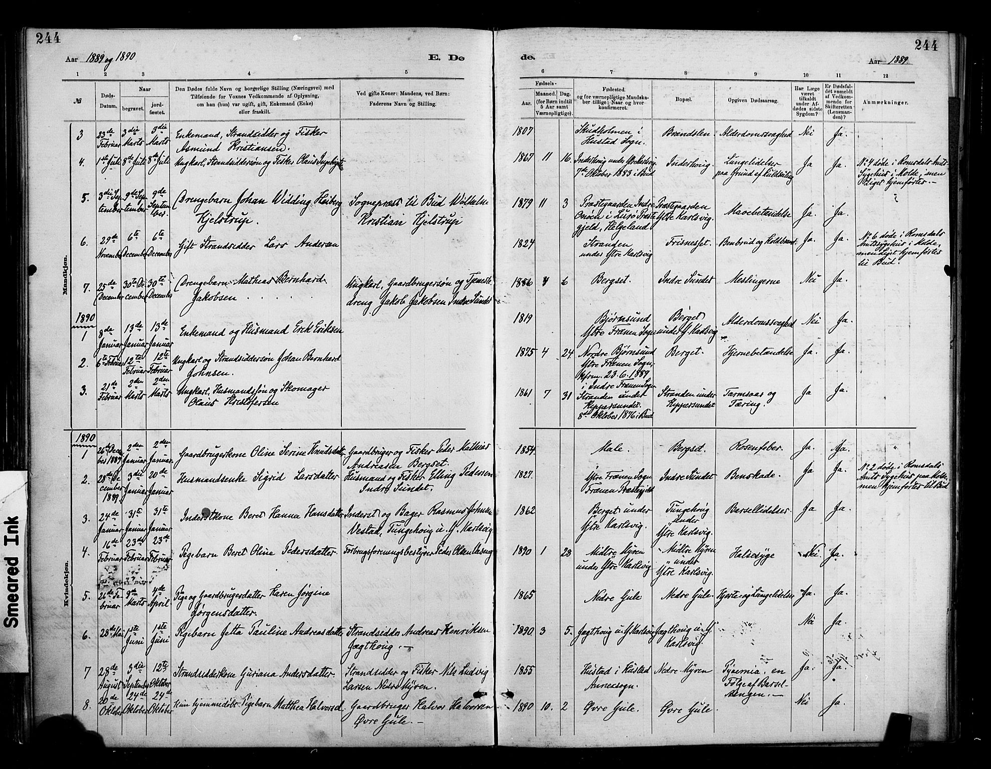 Ministerialprotokoller, klokkerbøker og fødselsregistre - Møre og Romsdal, AV/SAT-A-1454/566/L0769: Parish register (official) no. 566A08, 1881-1903, p. 244