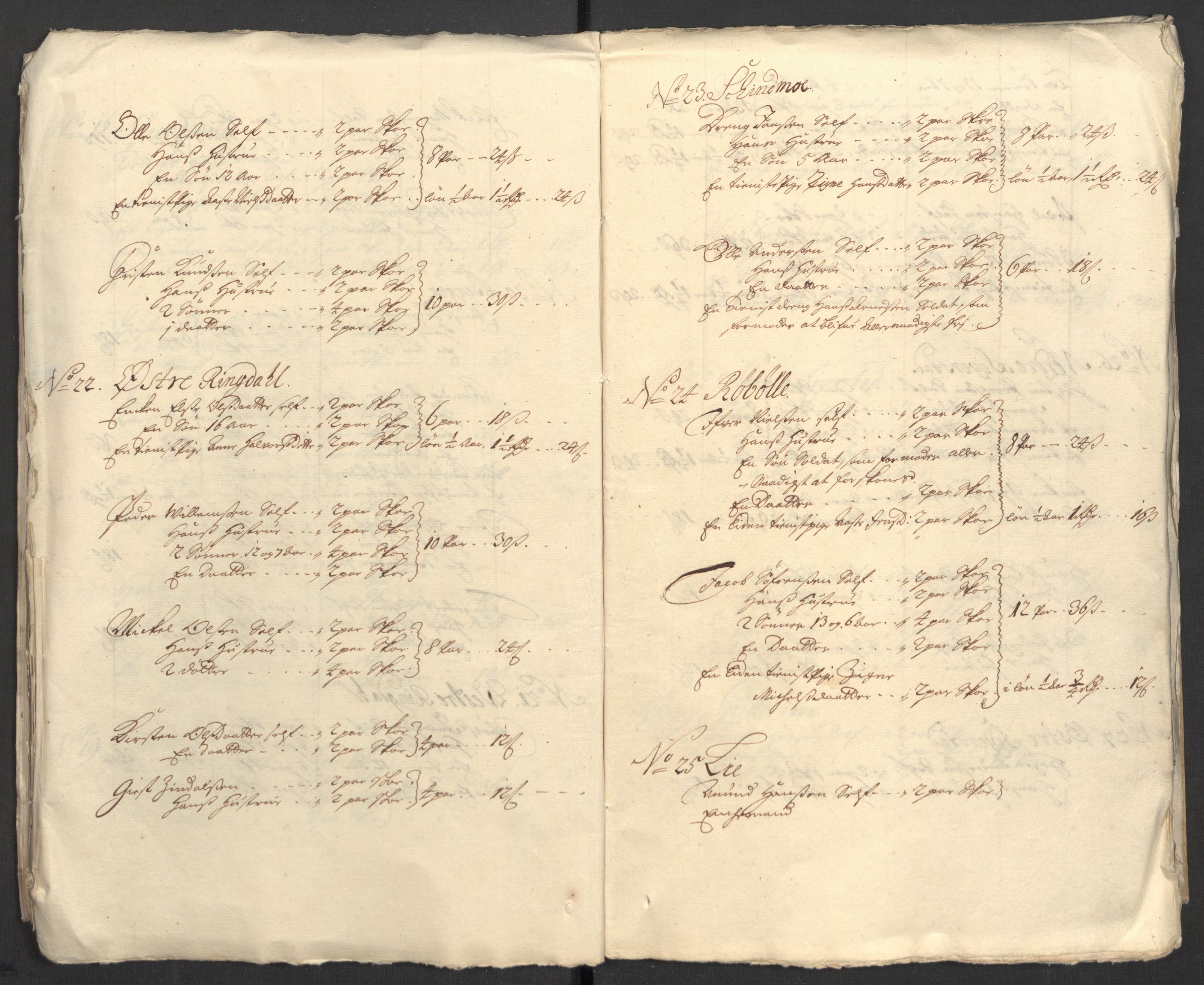 Rentekammeret inntil 1814, Reviderte regnskaper, Fogderegnskap, AV/RA-EA-4092/R33/L1982: Fogderegnskap Larvik grevskap, 1711, p. 190