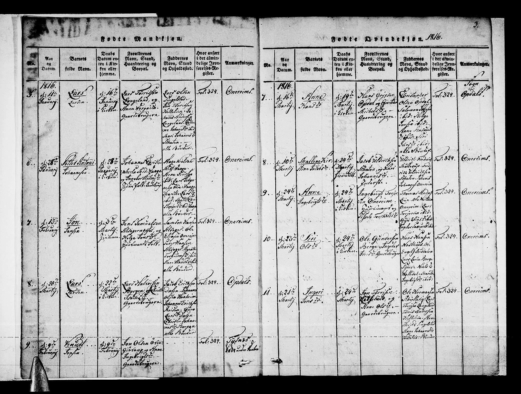Tysnes sokneprestembete, SAB/A-78601/H/Haa: Parish register (official) no. A 7, 1816-1826, p. 3