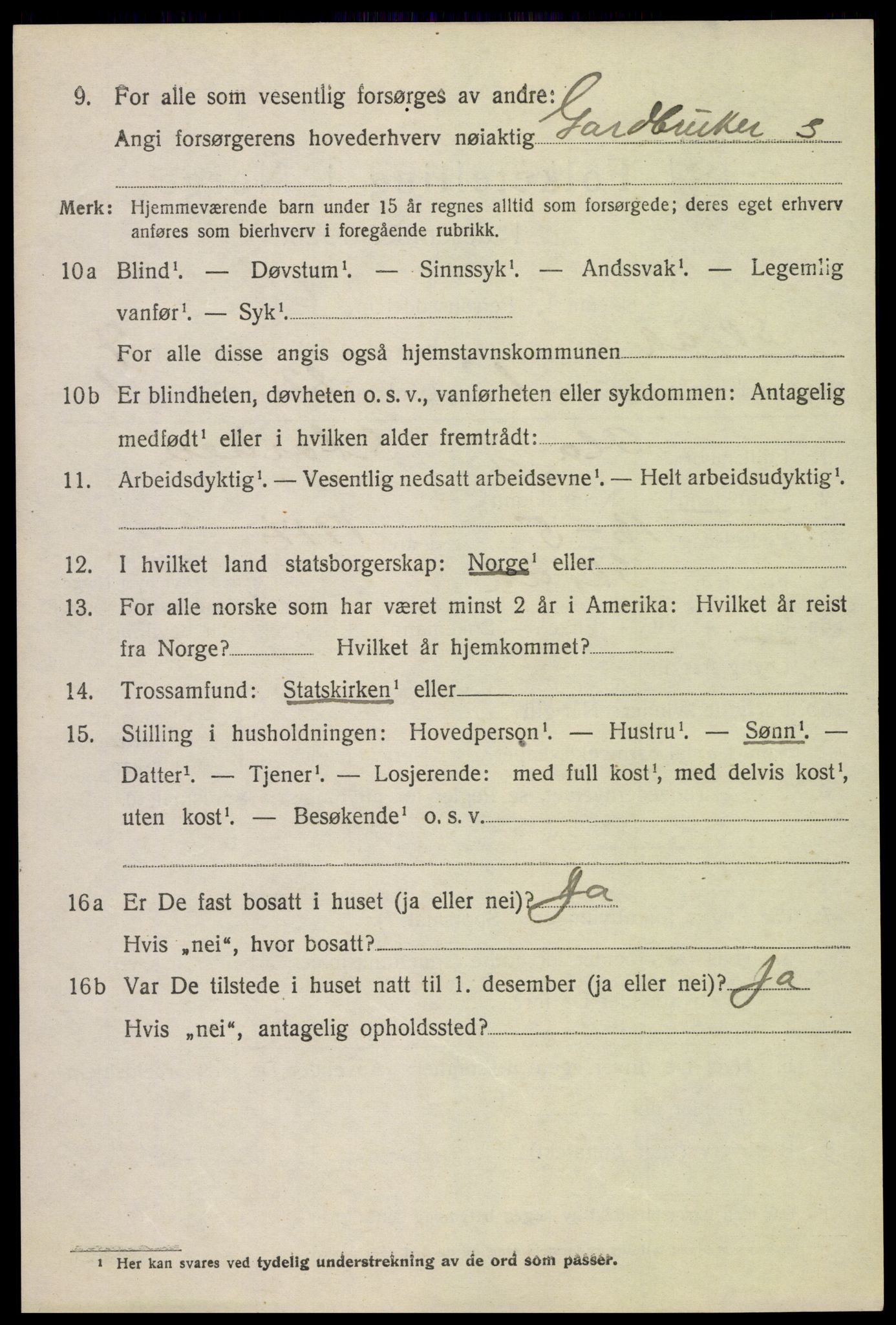 SAH, 1920 census for Skjåk, 1920, p. 3395