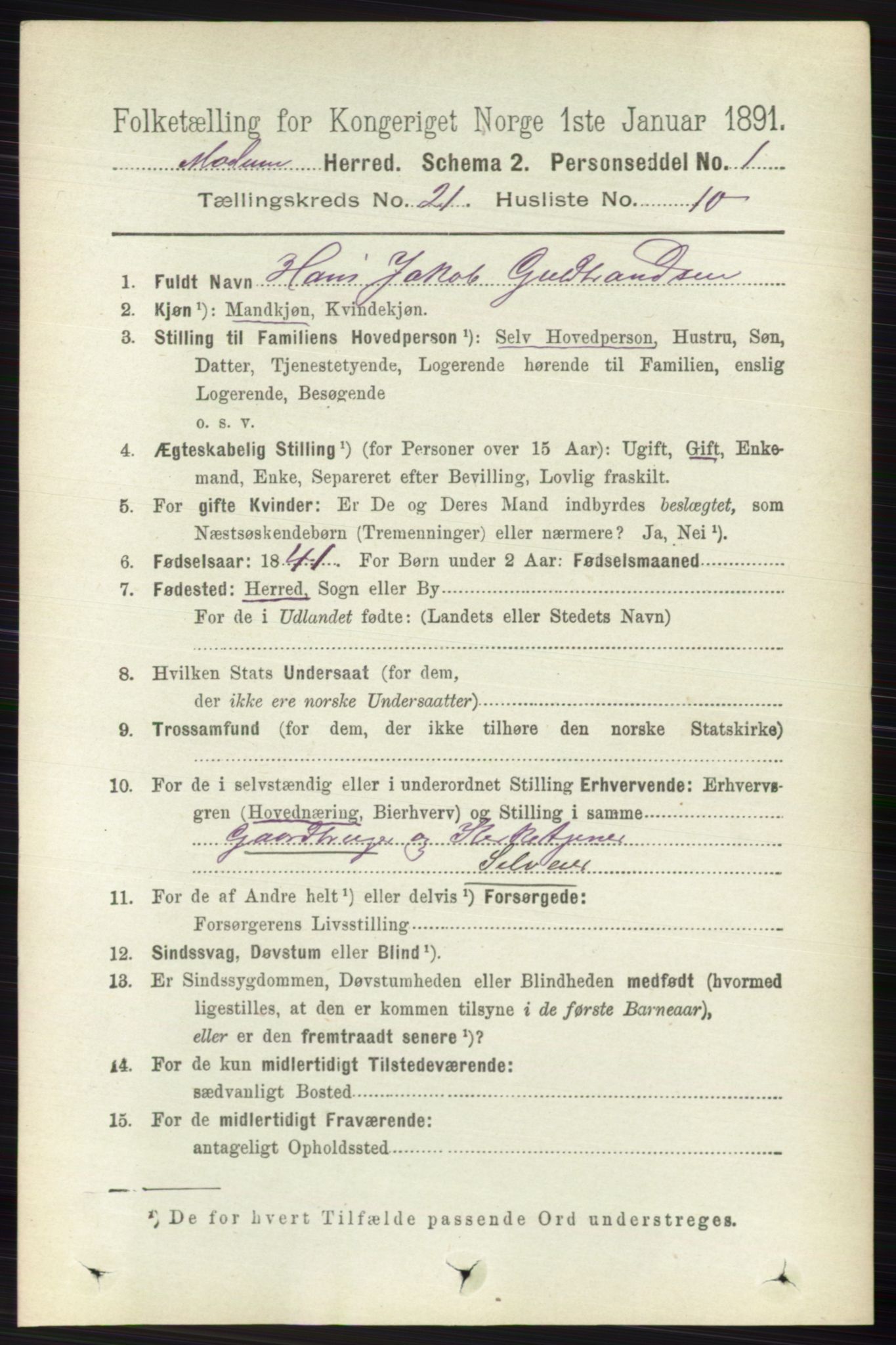 RA, 1891 census for 0623 Modum, 1891, p. 8155