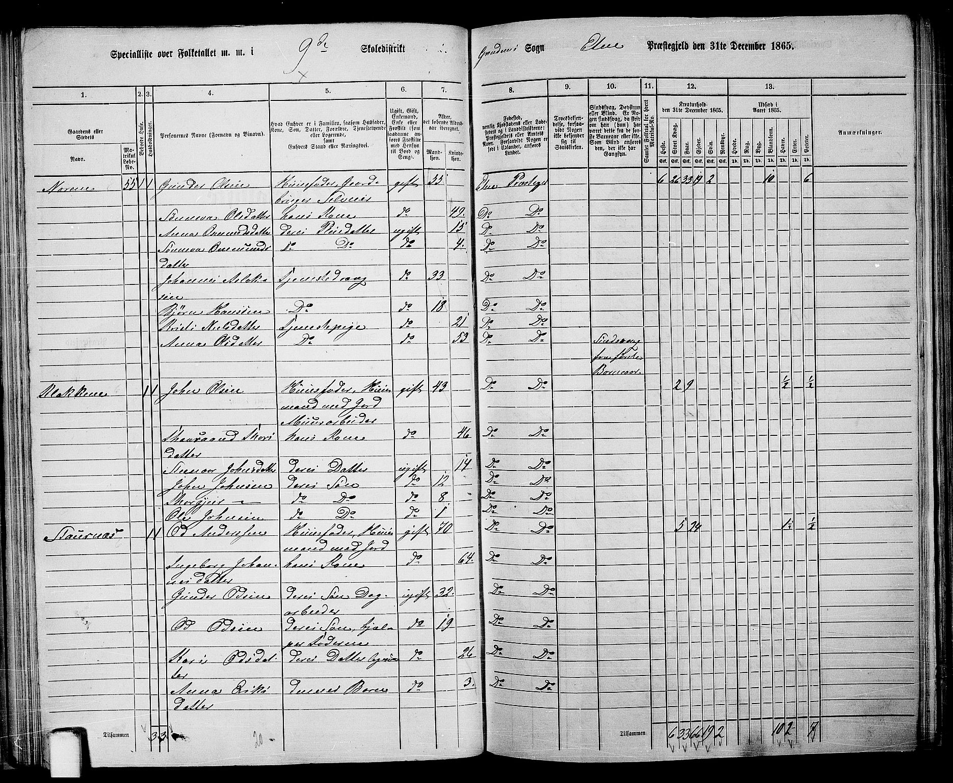 RA, 1865 census for Etne, 1865, p. 55