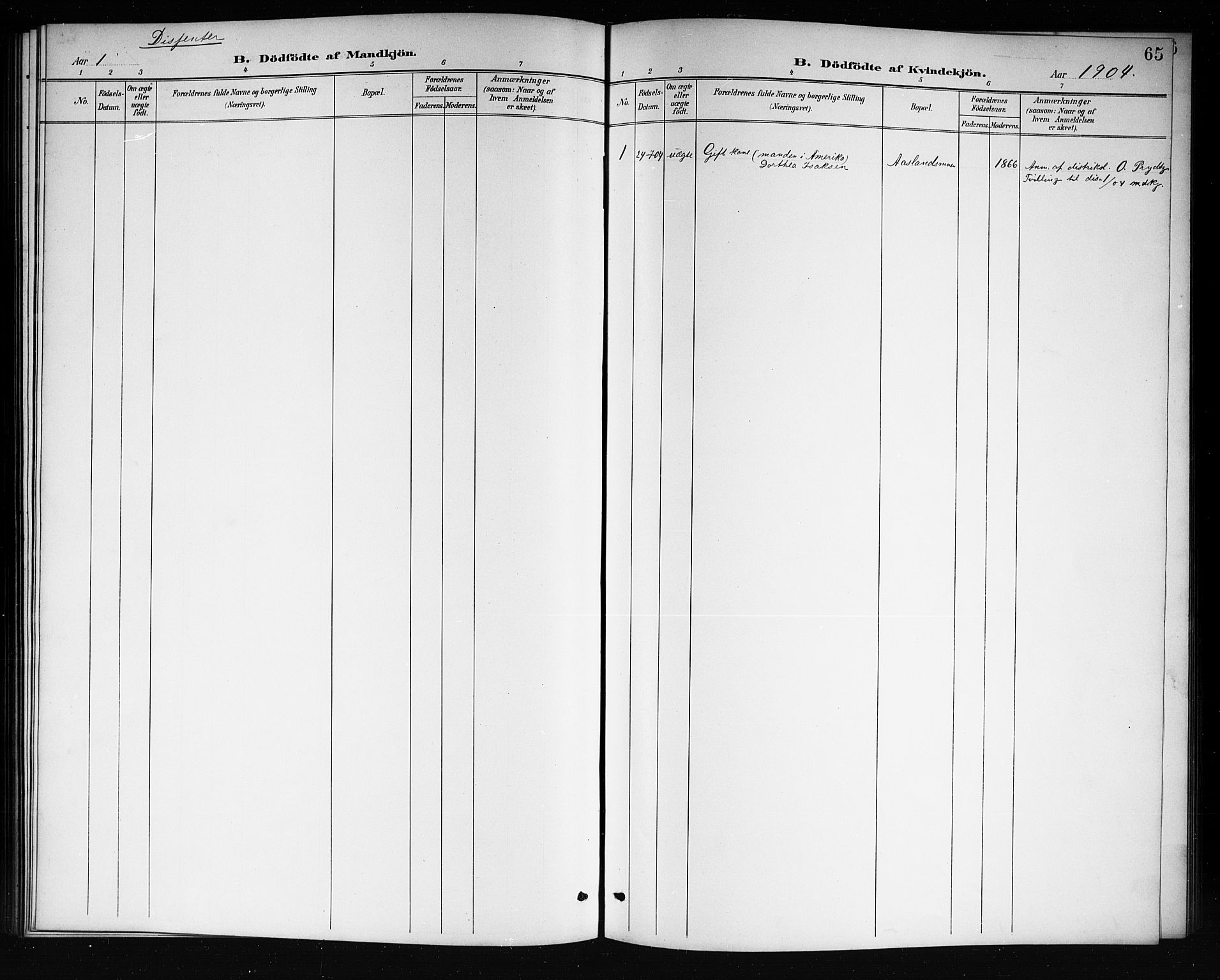 Mo kirkebøker, SAKO/A-286/G/Ga/L0002: Parish register (copy) no. I 2, 1892-1914, p. 65