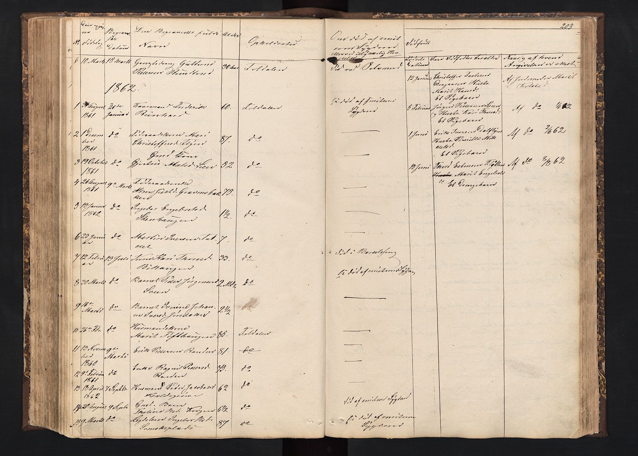 Alvdal prestekontor, SAH/PREST-060/H/Ha/Hab/L0001: Parish register (copy) no. 1, 1857-1893, p. 203