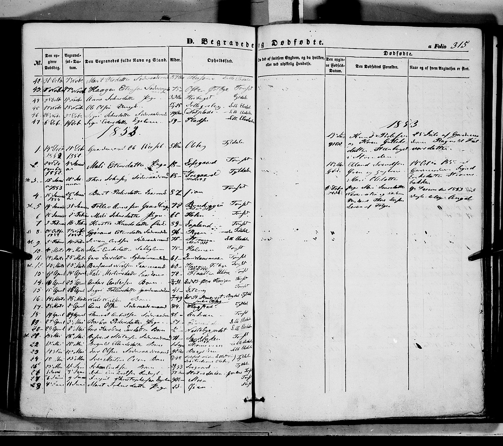 Tynset prestekontor, SAH/PREST-058/H/Ha/Haa/L0020: Parish register (official) no. 20, 1848-1862, p. 315