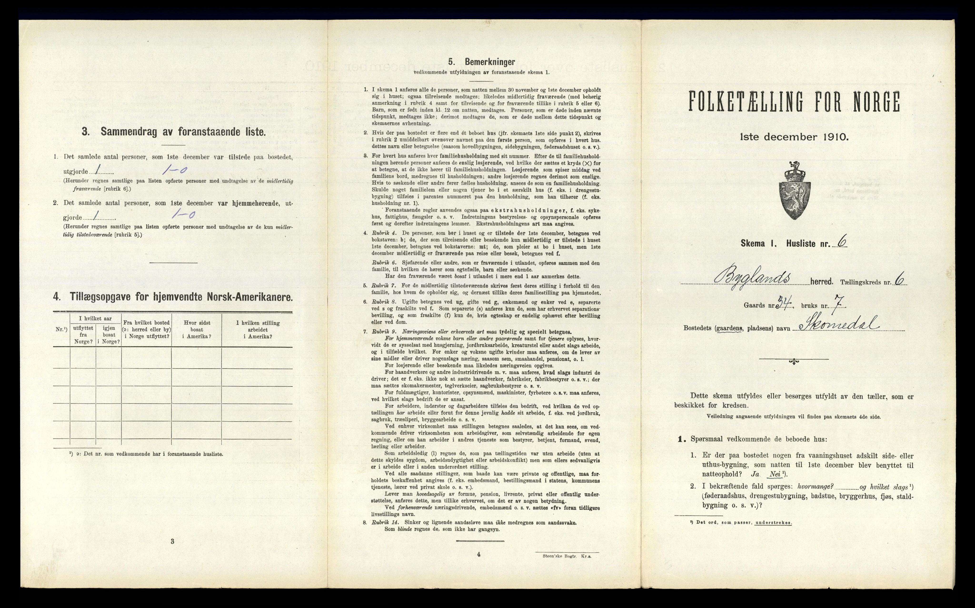 RA, 1910 census for Bygland, 1910, p. 443