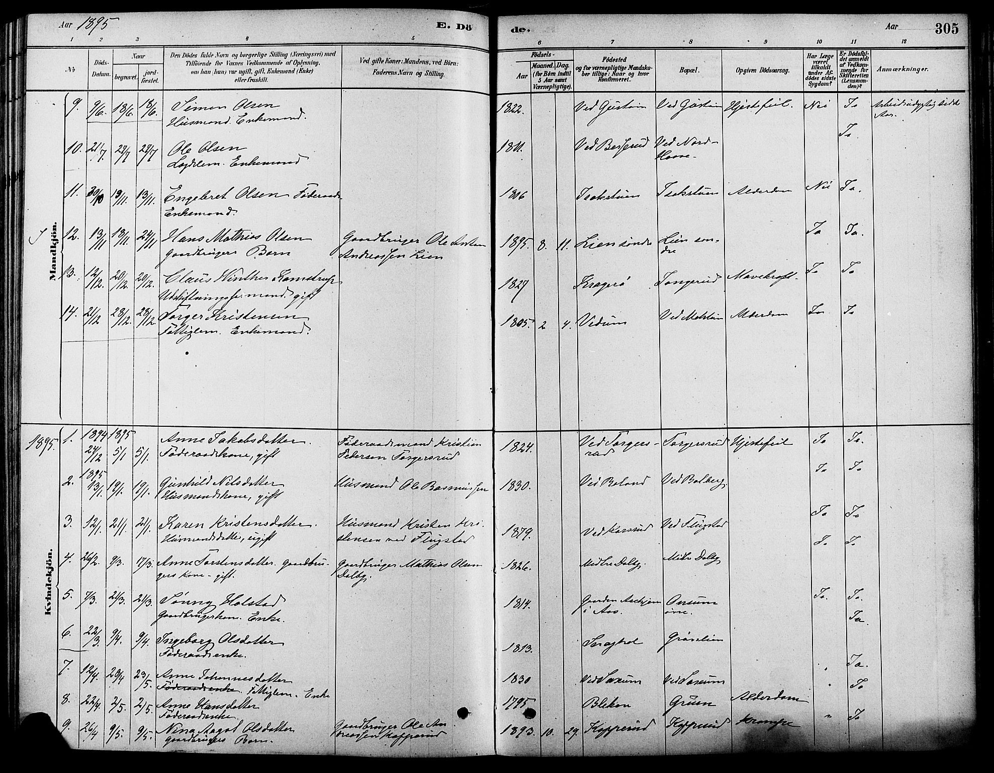 Fåberg prestekontor, SAH/PREST-086/H/Ha/Haa/L0008: Parish register (official) no. 8, 1879-1898, p. 305