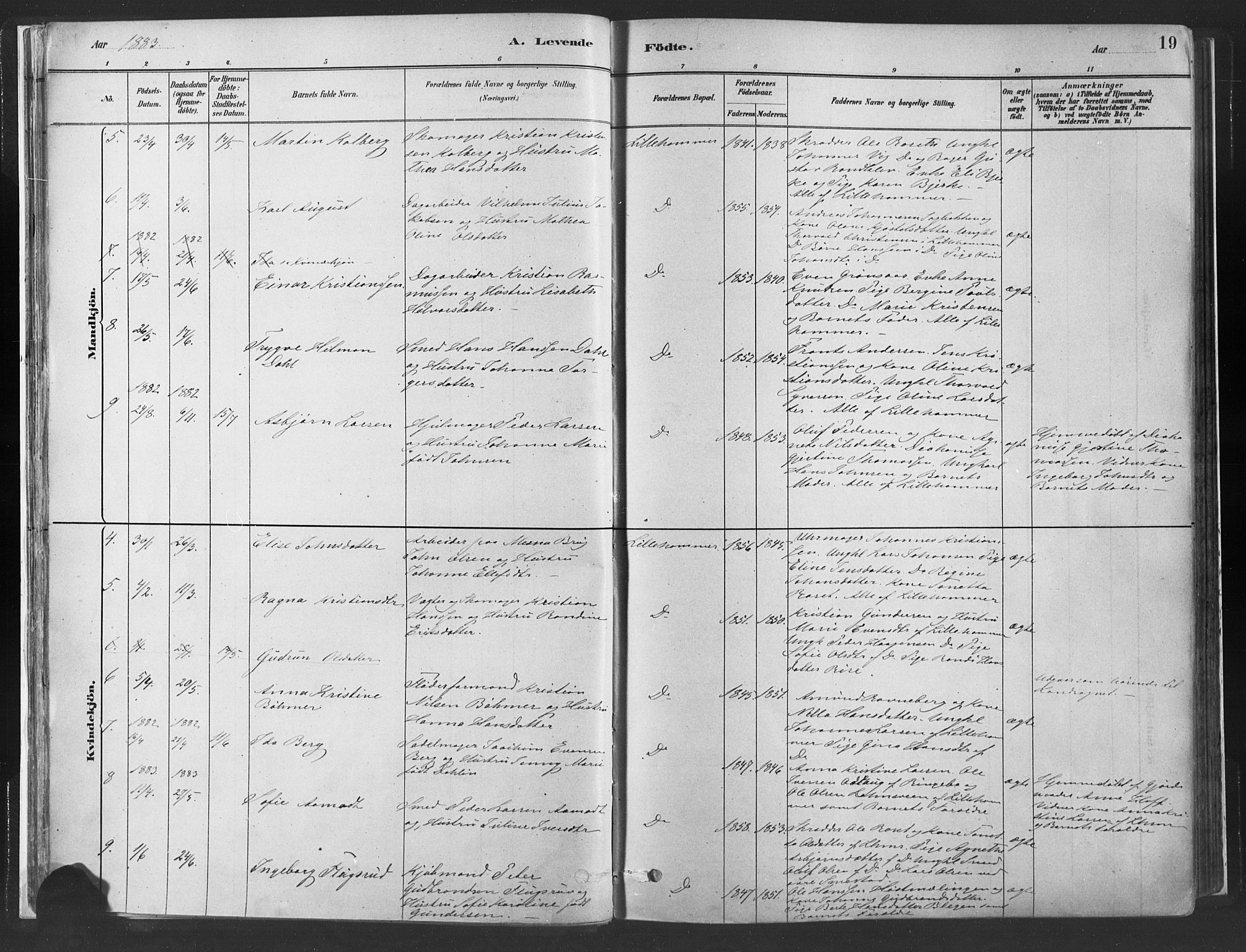 Fåberg prestekontor, SAH/PREST-086/H/Ha/Haa/L0010: Parish register (official) no. 10, 1879-1900, p. 19