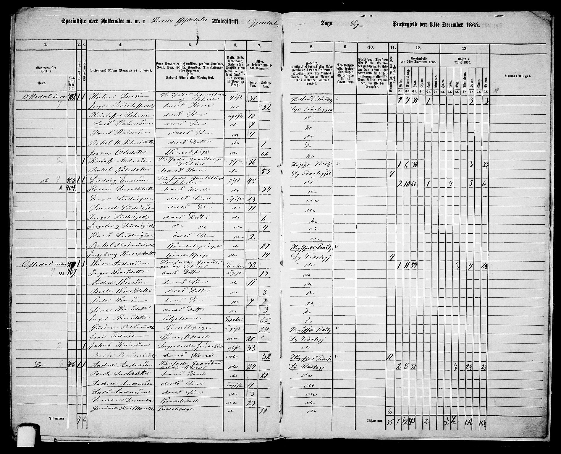 RA, 1865 census for Lye, 1865, p. 156