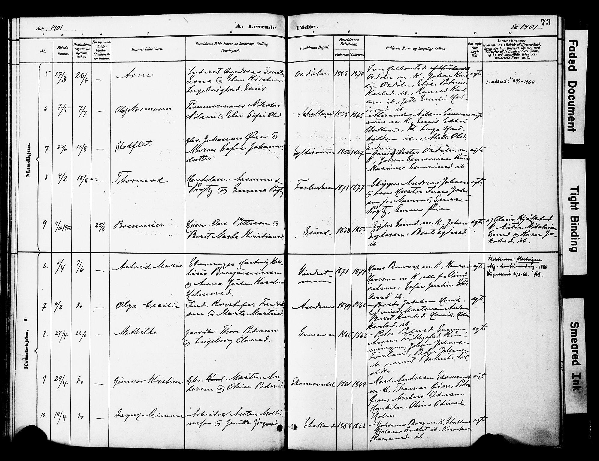 Ministerialprotokoller, klokkerbøker og fødselsregistre - Nord-Trøndelag, SAT/A-1458/774/L0628: Parish register (official) no. 774A02, 1887-1903, p. 73
