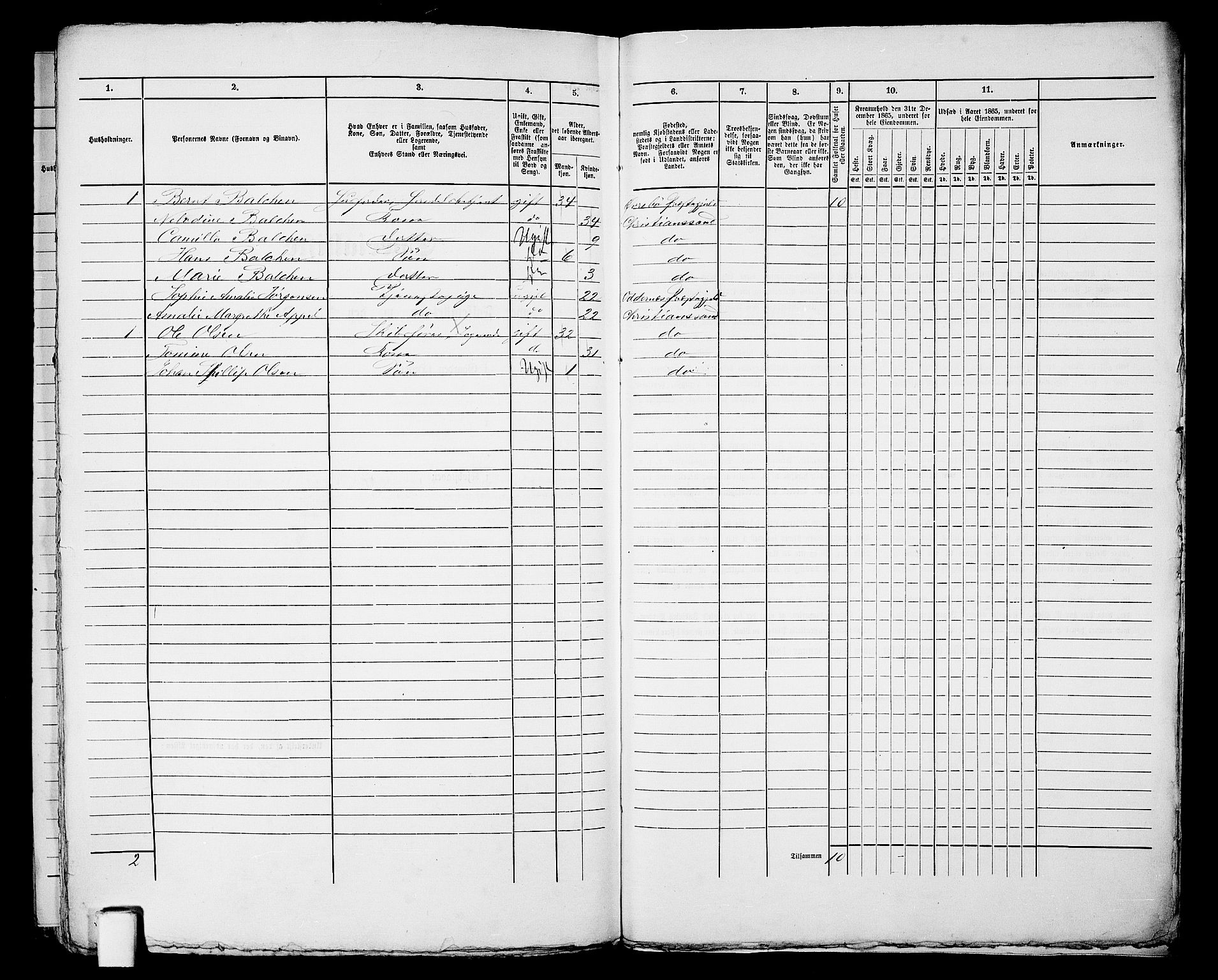 RA, 1865 census for Kristiansand, 1865, p. 515