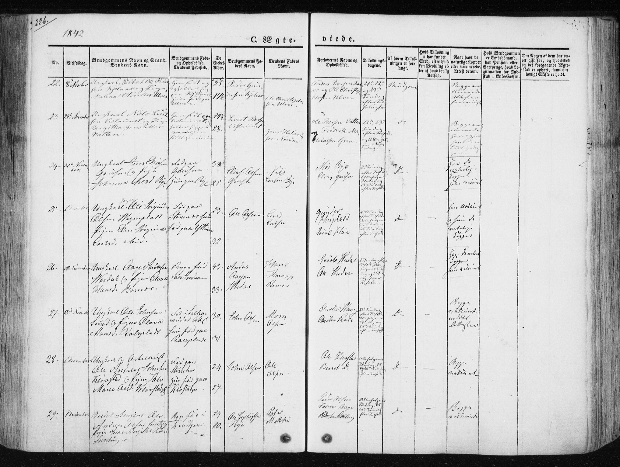 Ministerialprotokoller, klokkerbøker og fødselsregistre - Nord-Trøndelag, SAT/A-1458/730/L0280: Parish register (official) no. 730A07 /1, 1840-1854, p. 226
