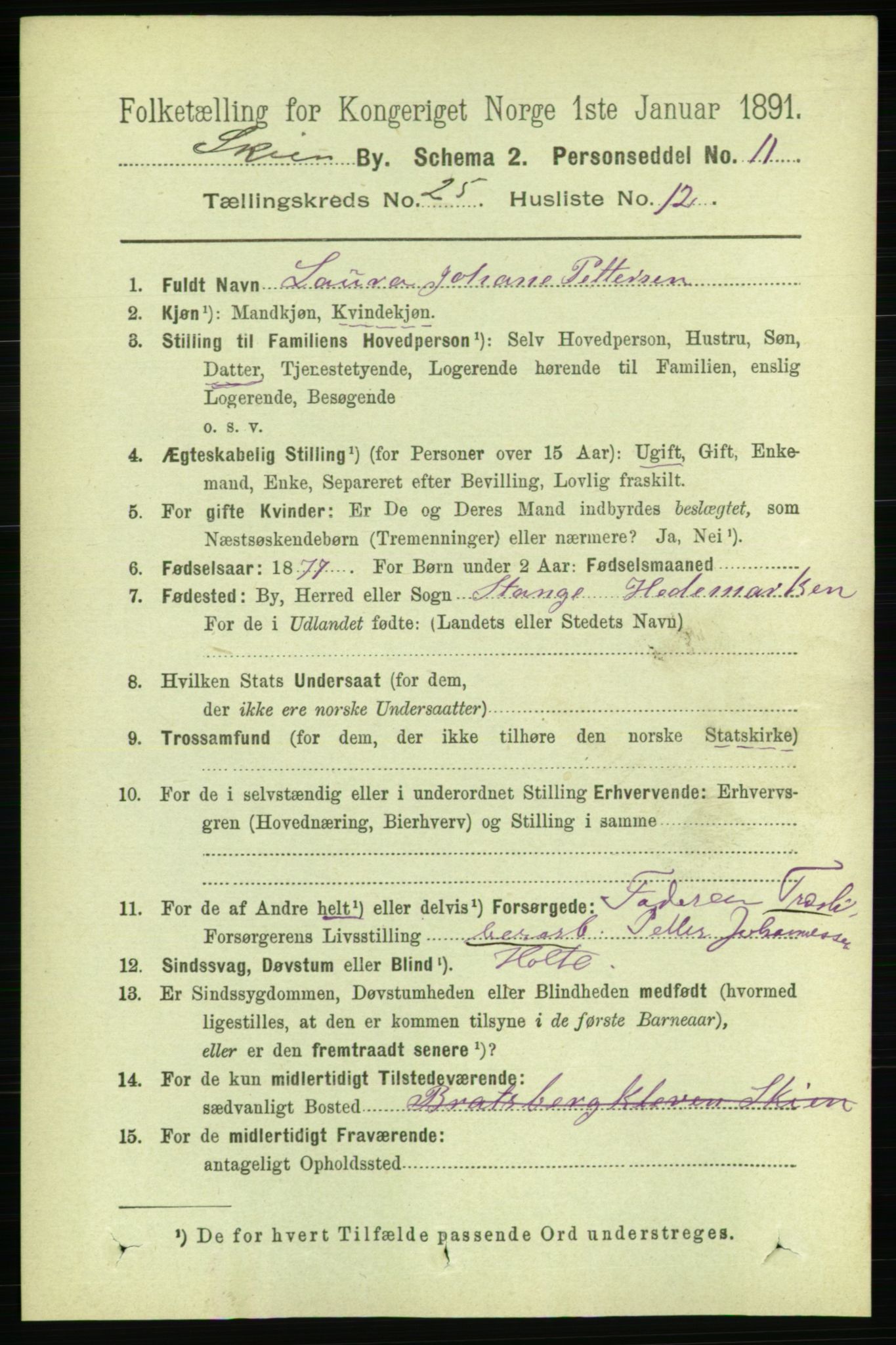 RA, 1891 census for 0806 Skien, 1891, p. 6128