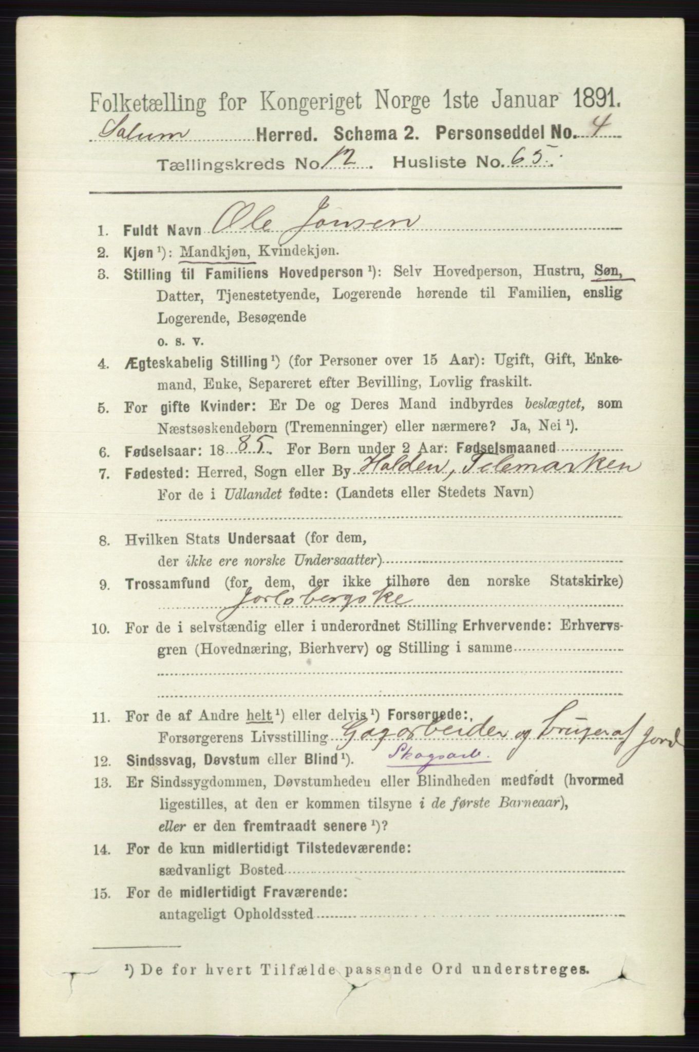 RA, 1891 census for 0818 Solum, 1891, p. 5989