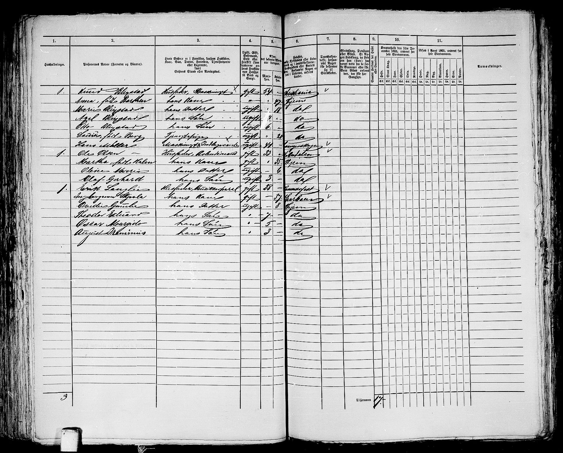 RA, 1865 census for Trondheim, 1865, p. 698