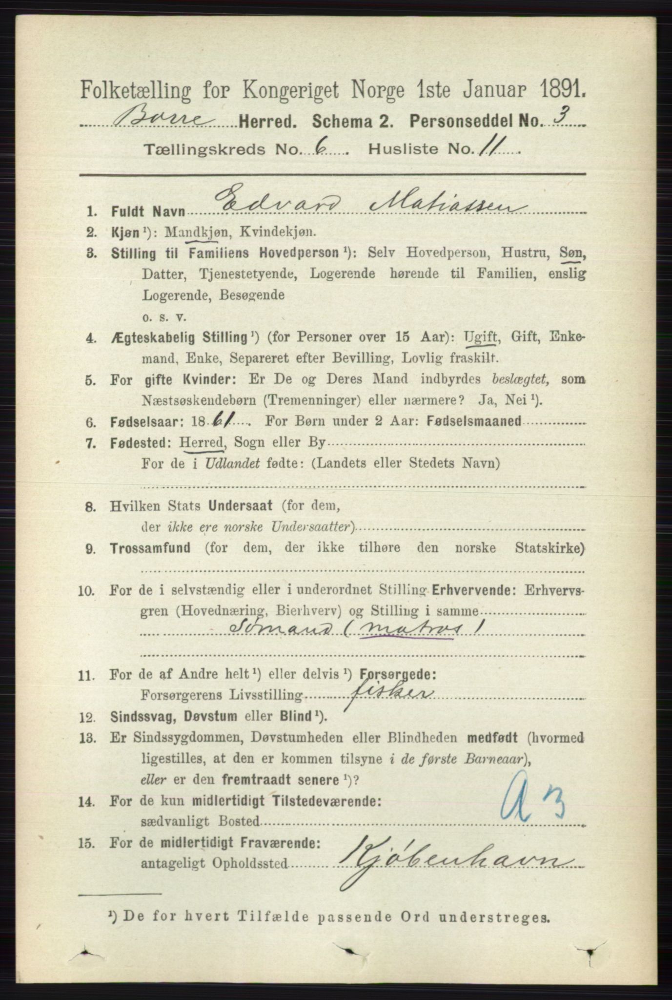 RA, 1891 census for 0717 Borre, 1891, p. 2693