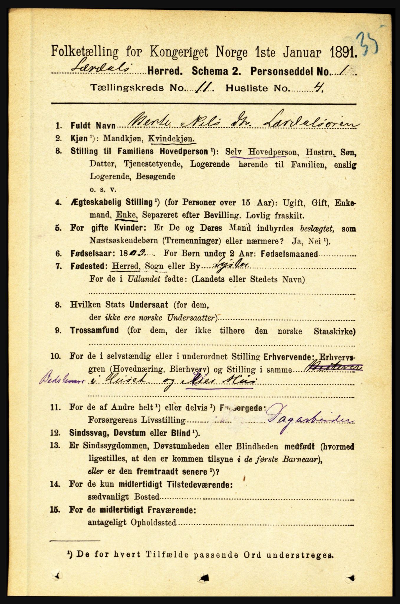 RA, 1891 census for 1422 Lærdal, 1891, p. 2173