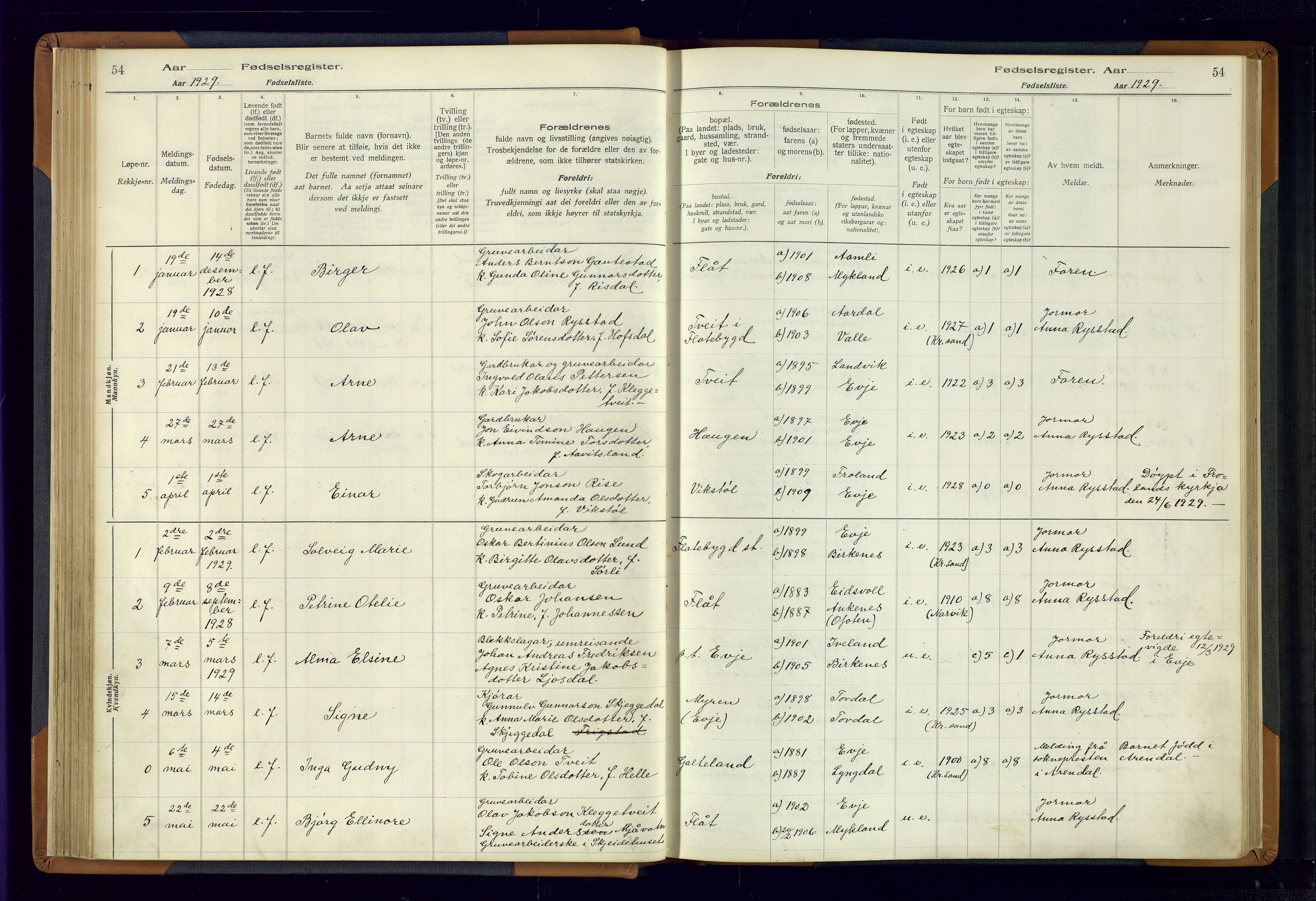 Evje sokneprestkontor, AV/SAK-1111-0008/J/Jc/L0004: Birth register no. 4, 1916-1968, p. 54