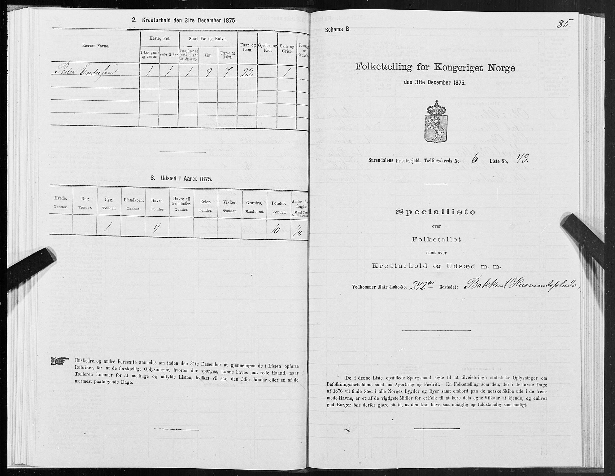 SAT, 1875 census for 1566P Surnadal, 1875, p. 3085
