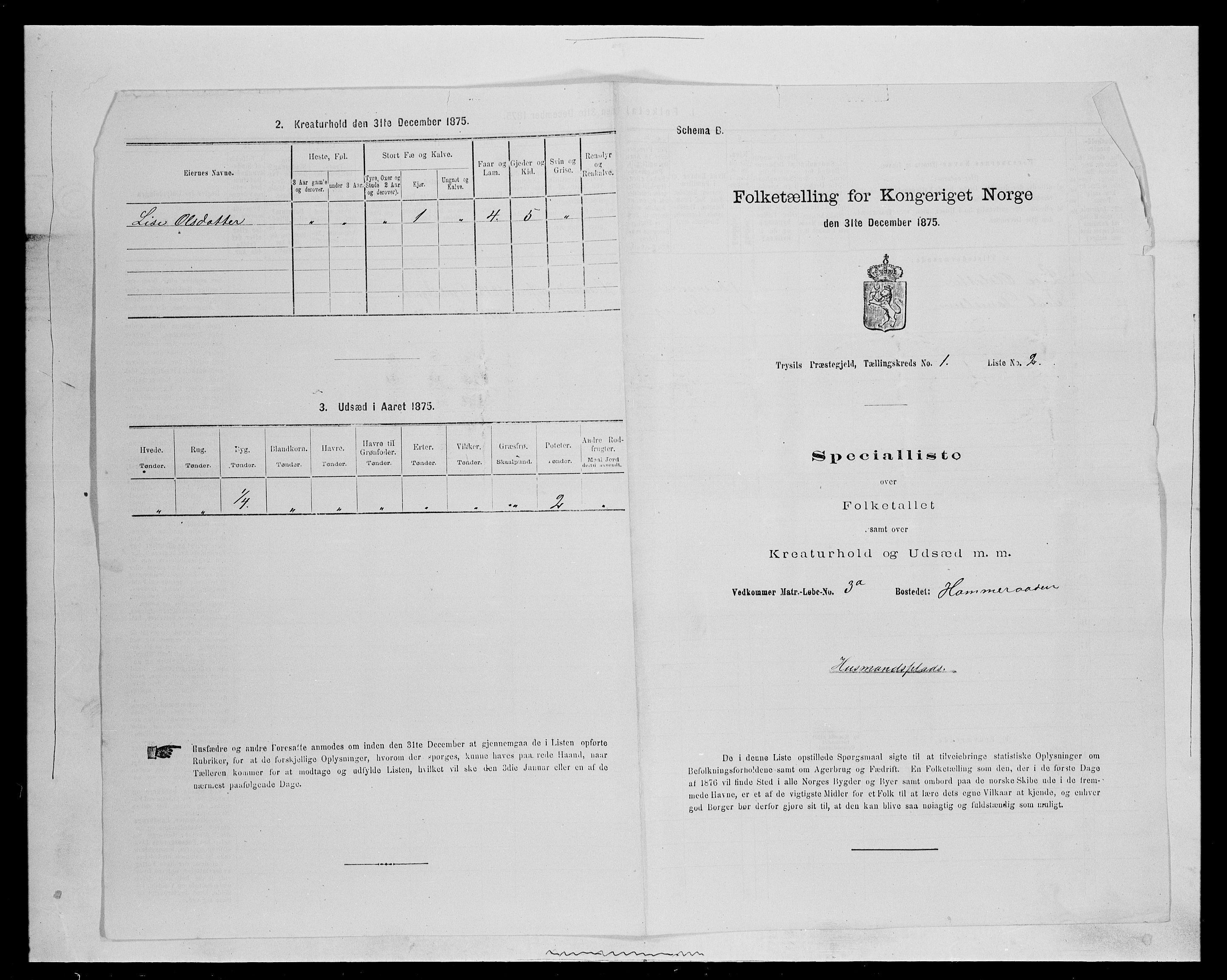 SAH, 1875 census for 0428P Trysil, 1875, p. 127