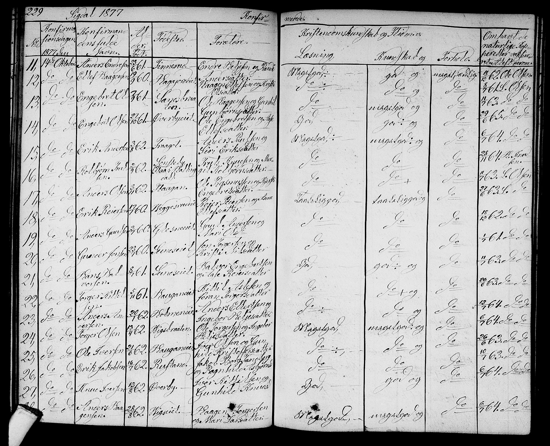 Sigdal kirkebøker, AV/SAKO-A-245/G/Ga/L0003: Parish register (copy) no. I 3, 1857-1878, p. 229