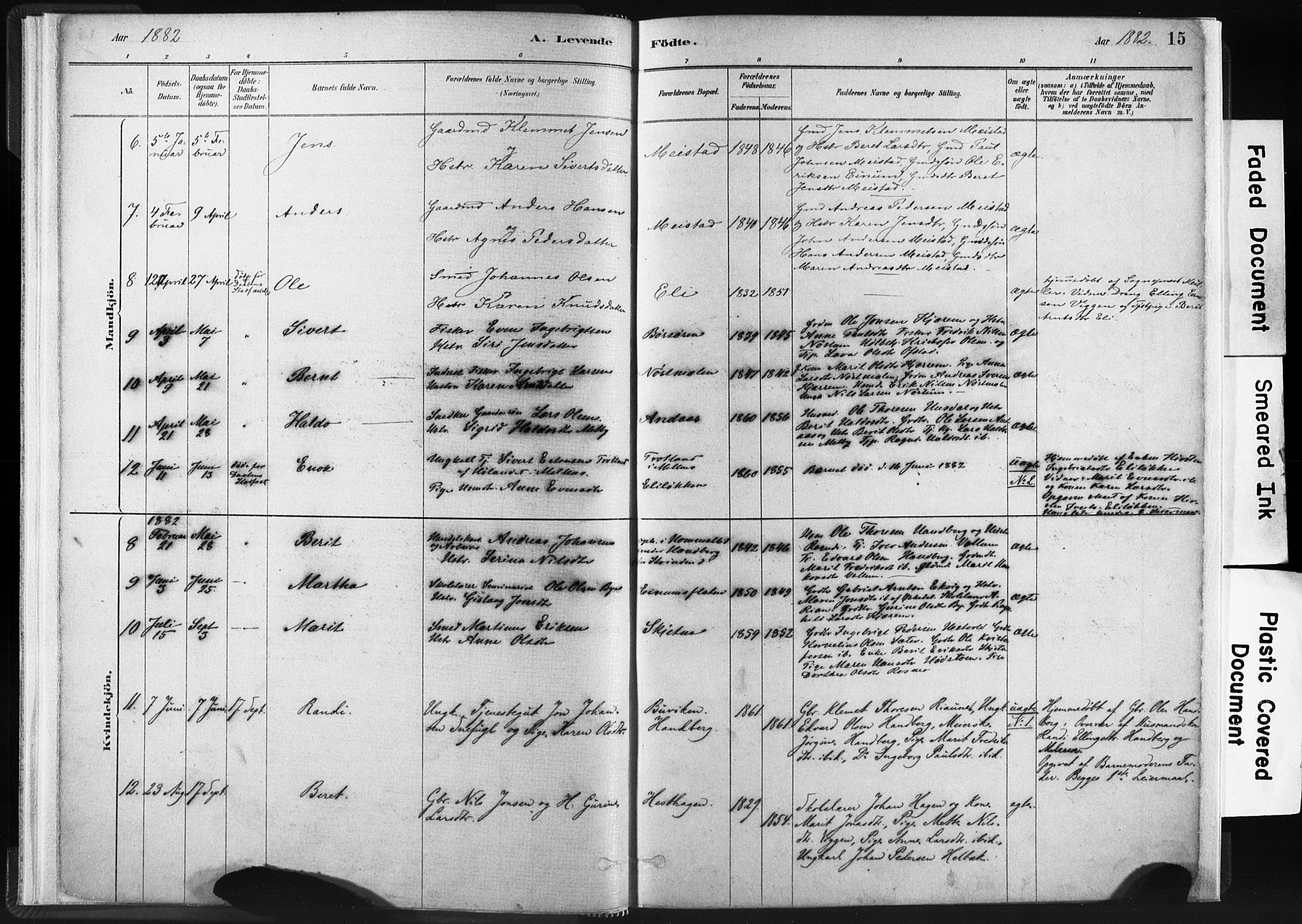 Ministerialprotokoller, klokkerbøker og fødselsregistre - Sør-Trøndelag, AV/SAT-A-1456/665/L0773: Parish register (official) no. 665A08, 1879-1905, p. 15