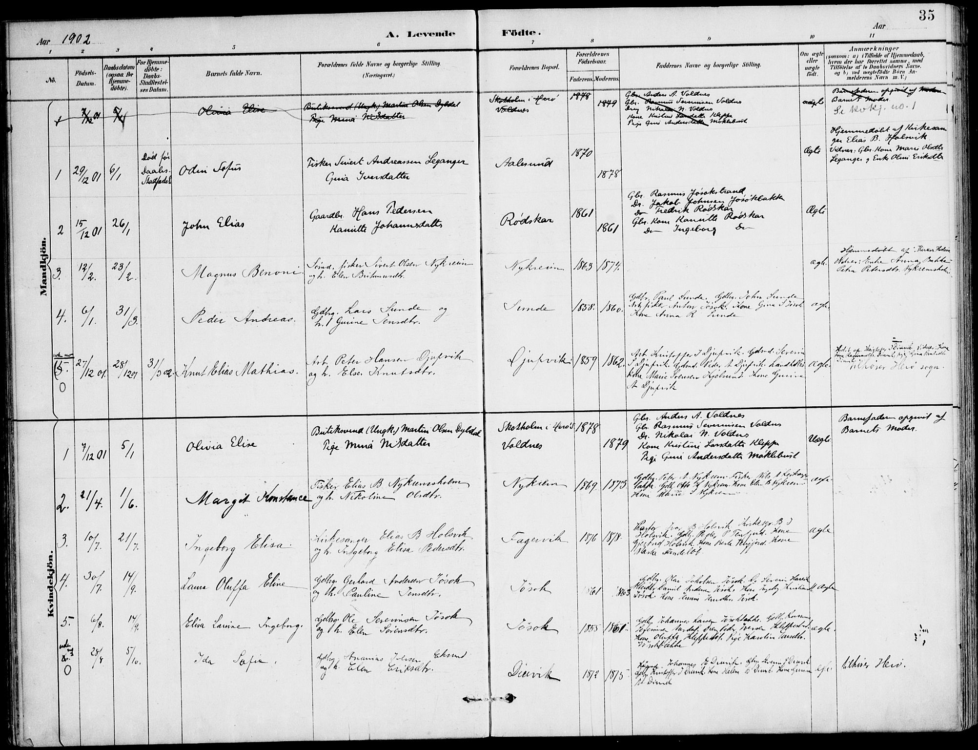 Ministerialprotokoller, klokkerbøker og fødselsregistre - Møre og Romsdal, AV/SAT-A-1454/508/L0095: Parish register (official) no. 508A02, 1887-1920, p. 35