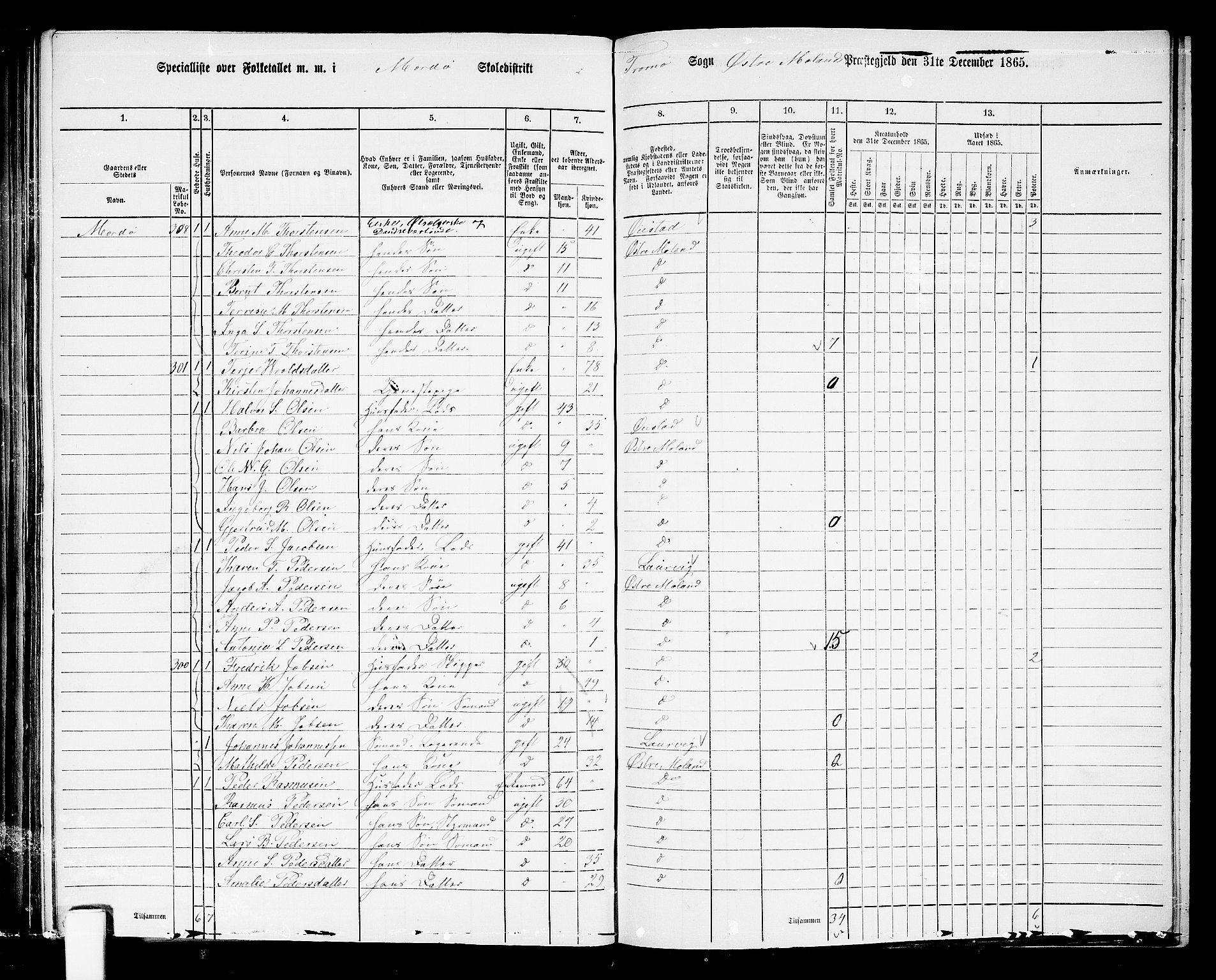 RA, 1865 census for Austre Moland, 1865, p. 273