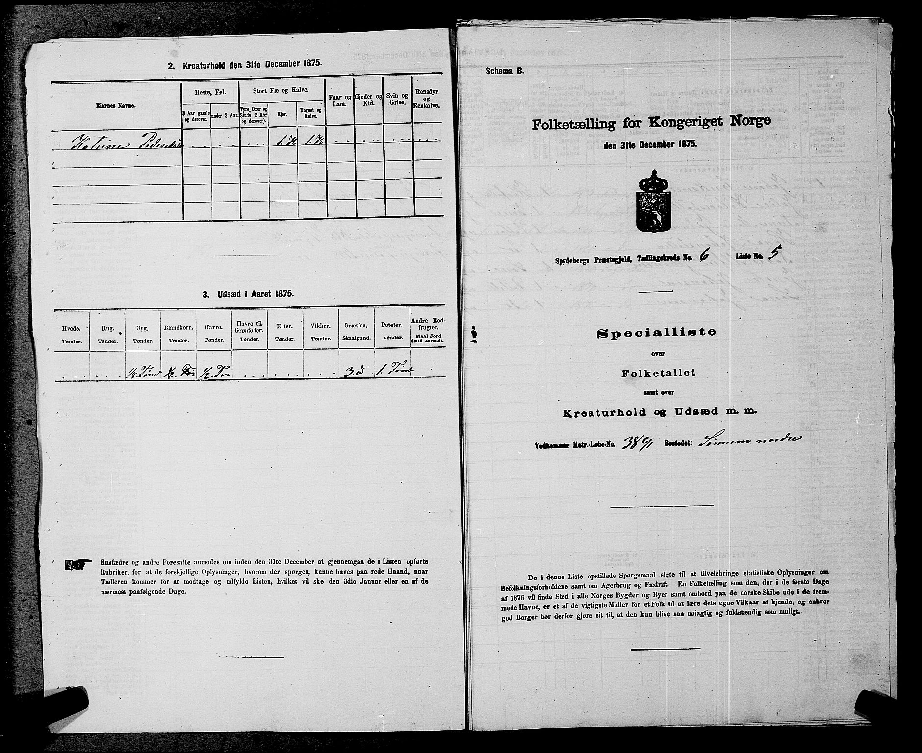 RA, 1875 census for 0123P Spydeberg, 1875, p. 868