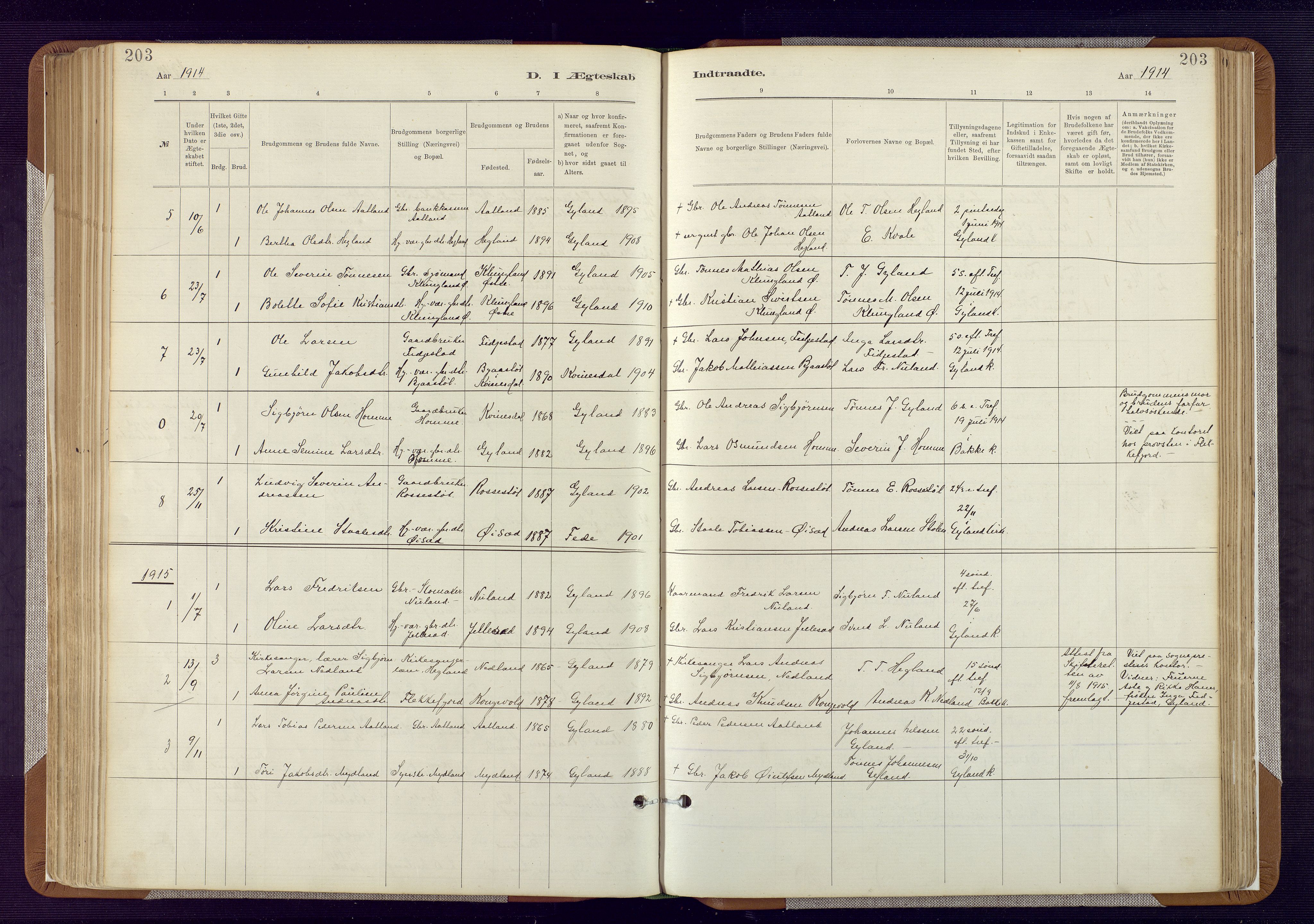 Bakke sokneprestkontor, AV/SAK-1111-0002/F/Fa/Fab/L0003: Parish register (official) no. A 3, 1884-1921, p. 203