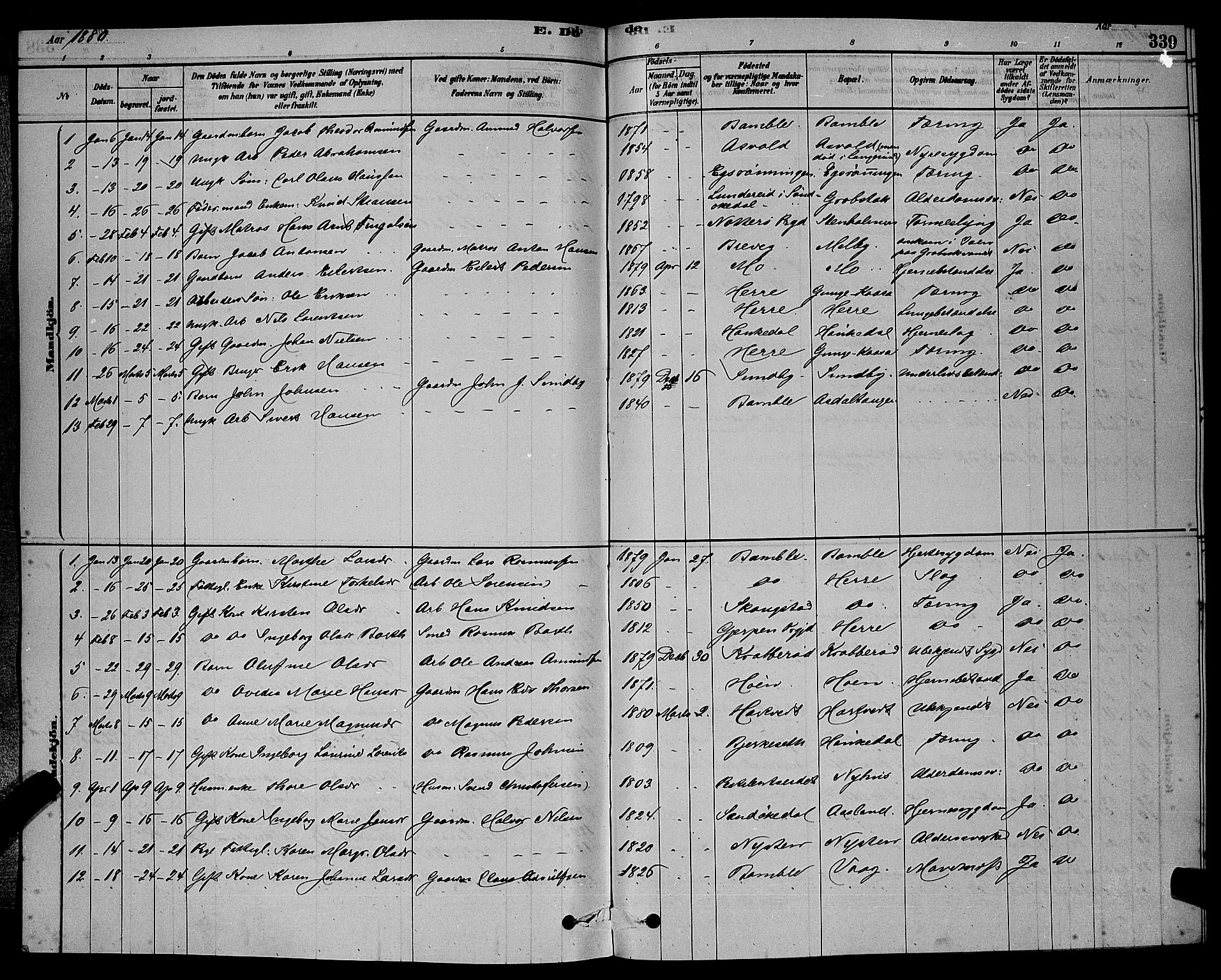 Bamble kirkebøker, AV/SAKO-A-253/G/Ga/L0008: Parish register (copy) no. I 8, 1878-1888, p. 339