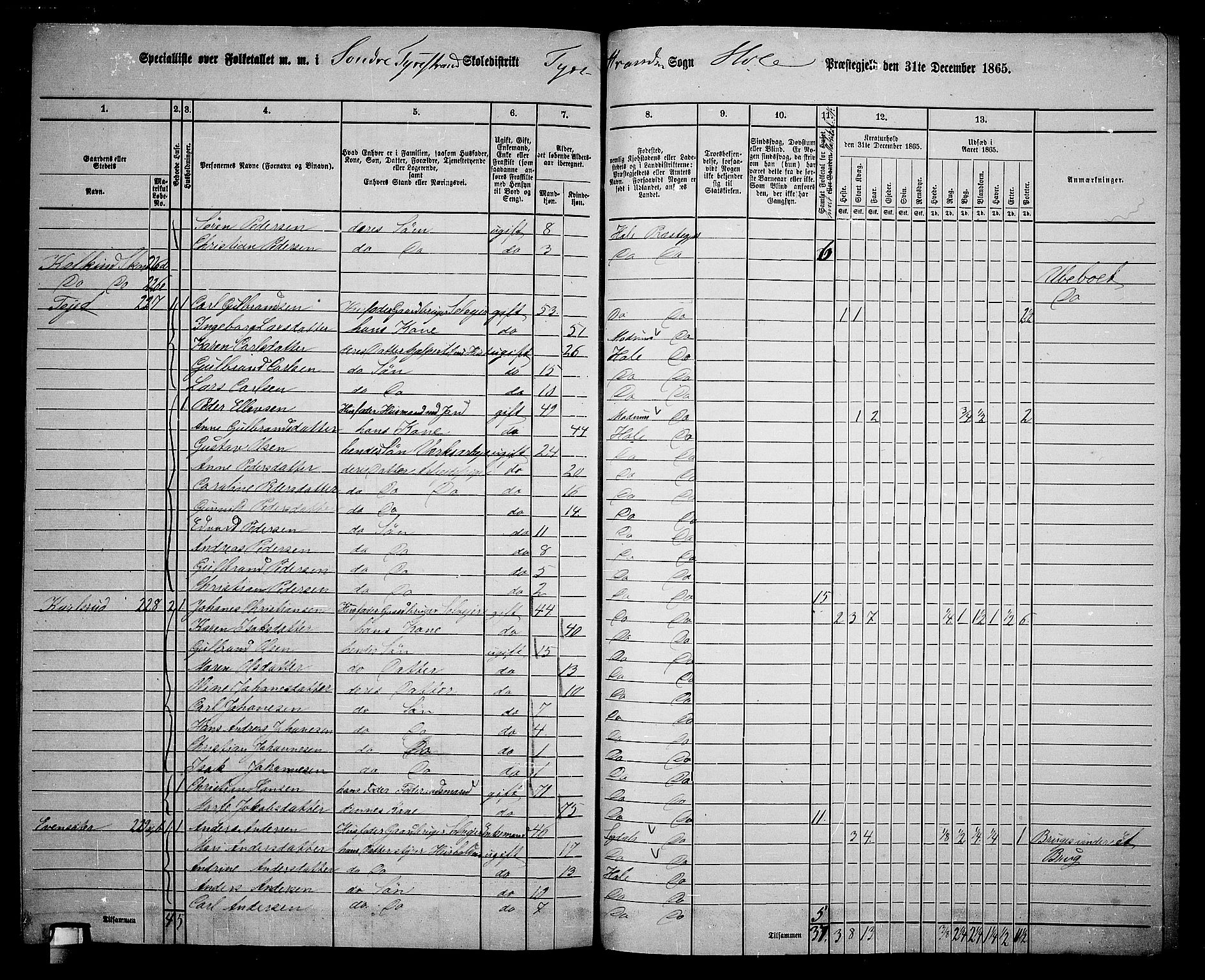 RA, 1865 census for Hole, 1865, p. 156