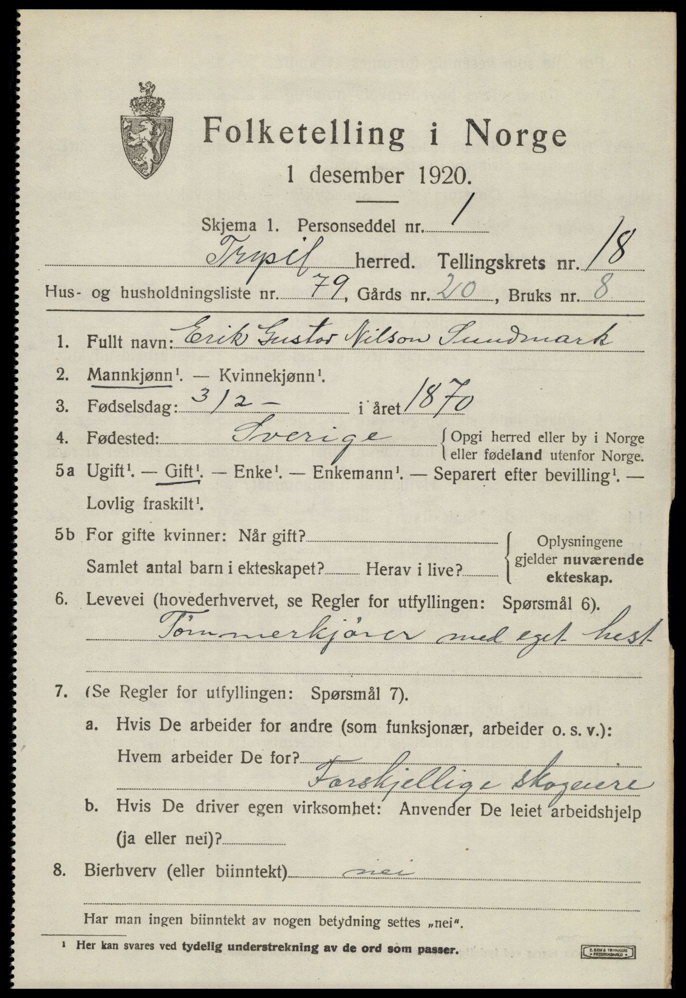 SAH, 1920 census for Trysil, 1920, p. 12713