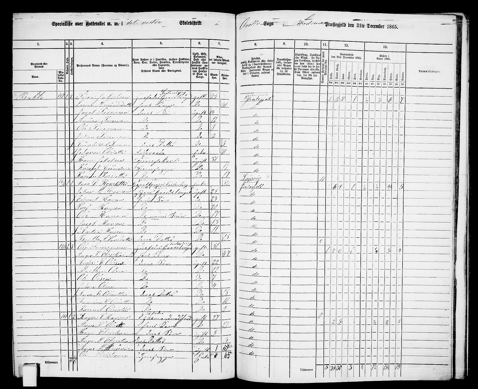 RA, 1865 census for Hedrum, 1865, p. 176