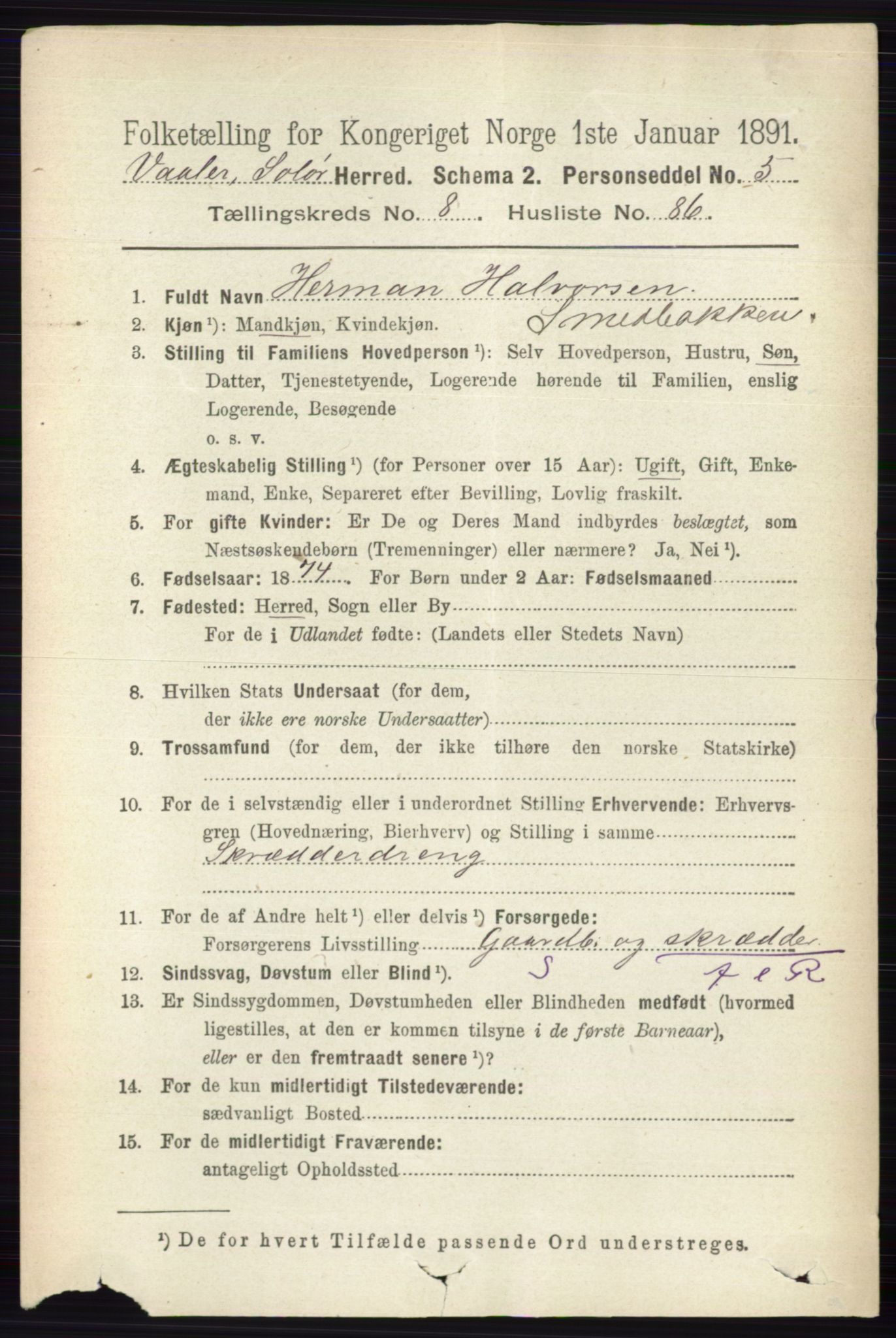 RA, 1891 census for 0426 Våler, 1891, p. 3809