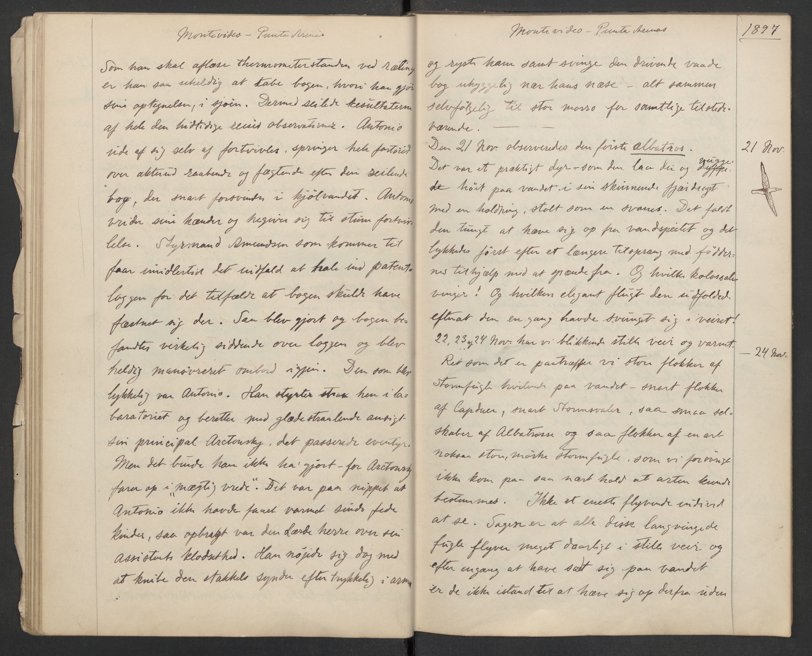 Koren-familien, AV/RA-PA-0337/D/L0104/0001: Lnr. 206 Johan Koren, 1879-1919, zoolog / Johan Korens håndskrevne dagbok fra Belgica ekspedisjonen, 1897-1898, p. 21