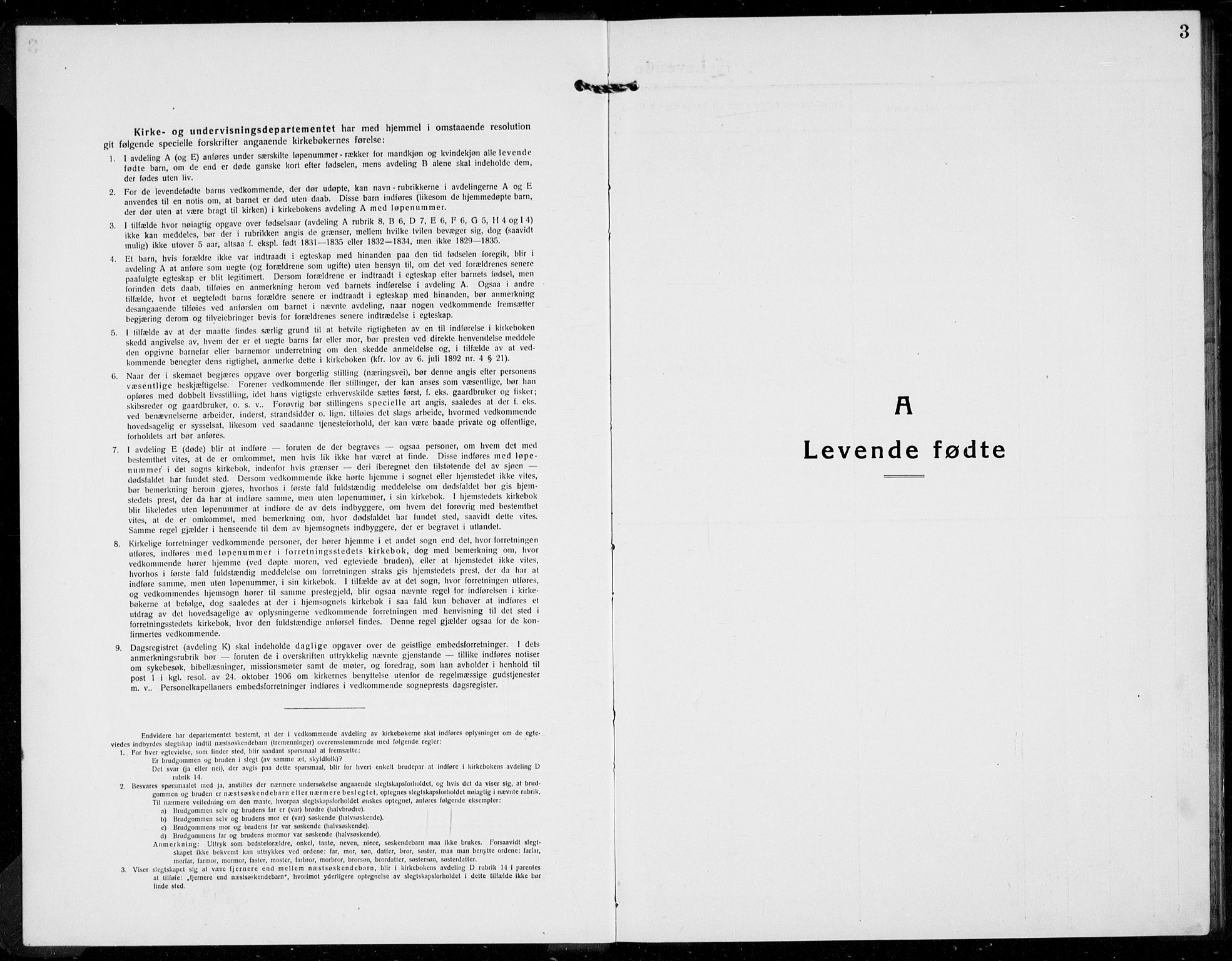 Hof kirkebøker, AV/SAKO-A-64/G/Gb/L0004: Parish register (copy) no. II 4, 1917-1934, p. 3