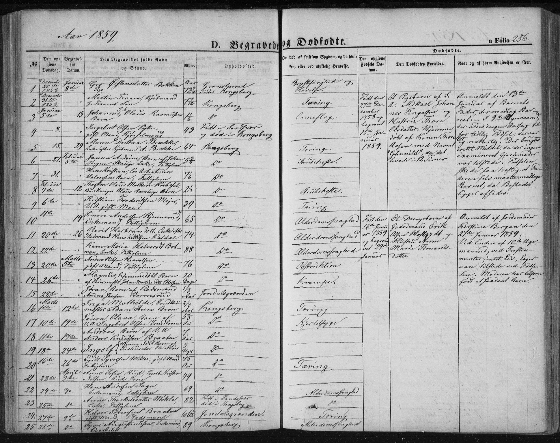 Kongsberg kirkebøker, SAKO/A-22/F/Fa/L0010: Parish register (official) no. I 10, 1859-1875, p. 256