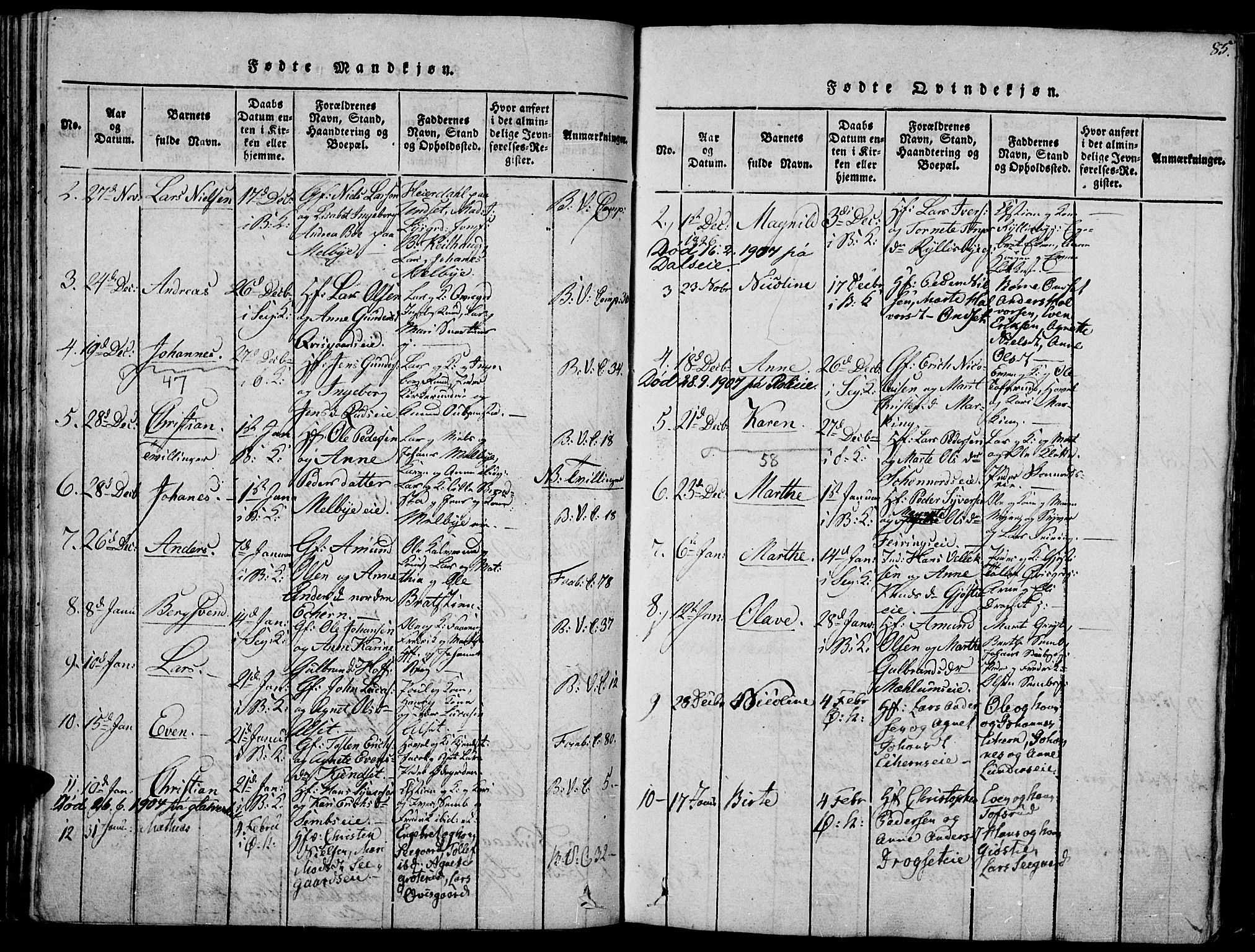 Biri prestekontor, AV/SAH-PREST-096/H/Ha/Haa/L0003: Parish register (official) no. 3, 1814-1828, p. 85