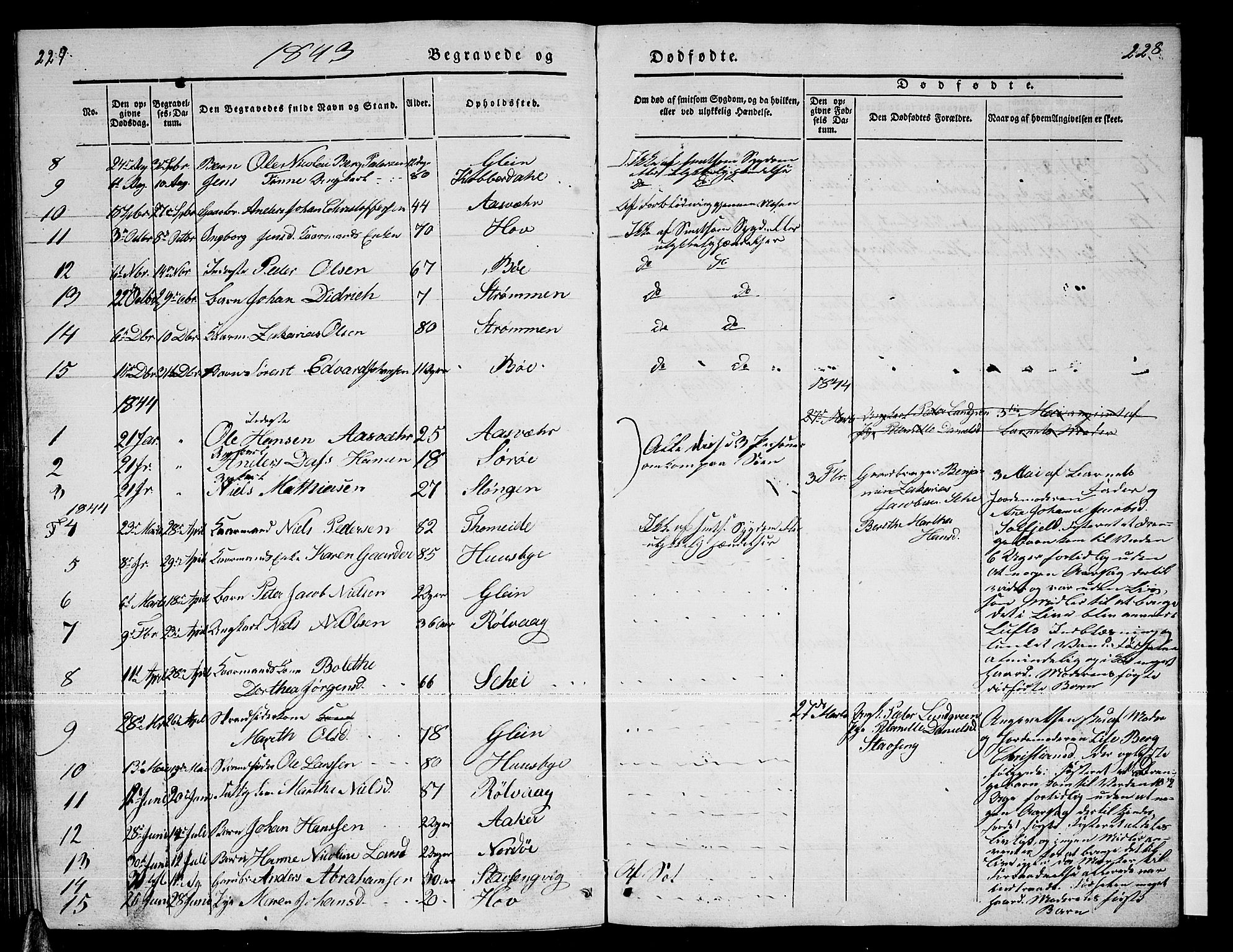 Ministerialprotokoller, klokkerbøker og fødselsregistre - Nordland, AV/SAT-A-1459/835/L0530: Parish register (copy) no. 835C02, 1842-1865, p. 227-228