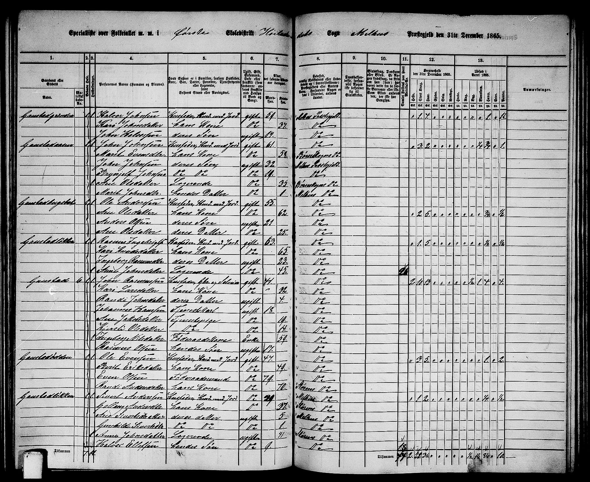 RA, 1865 census for Melhus, 1865, p. 160